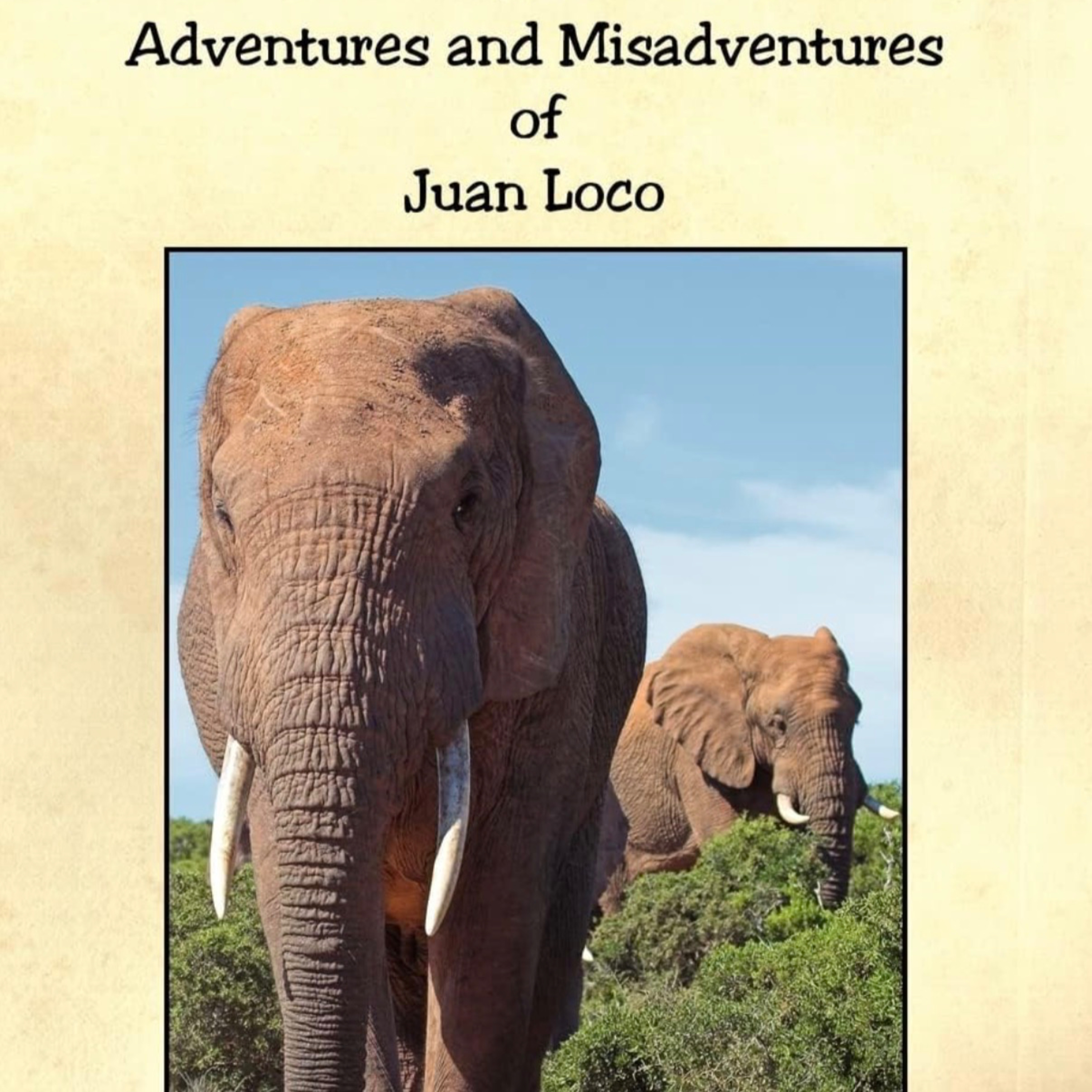 The Adventures and Misadventures of Juan Loco- Pop, Uncle Bill, & the Dogs episode artwork
