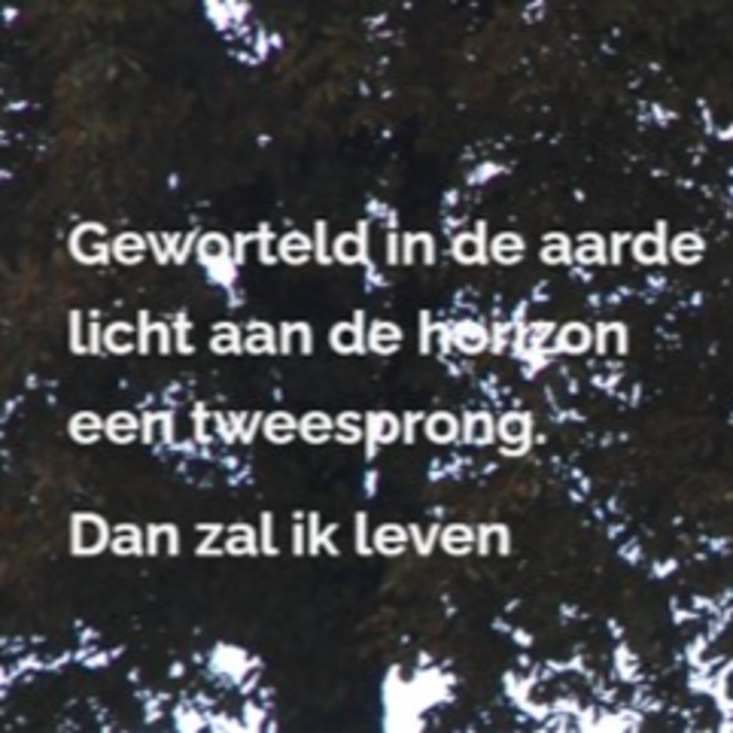 Woorden van JC
