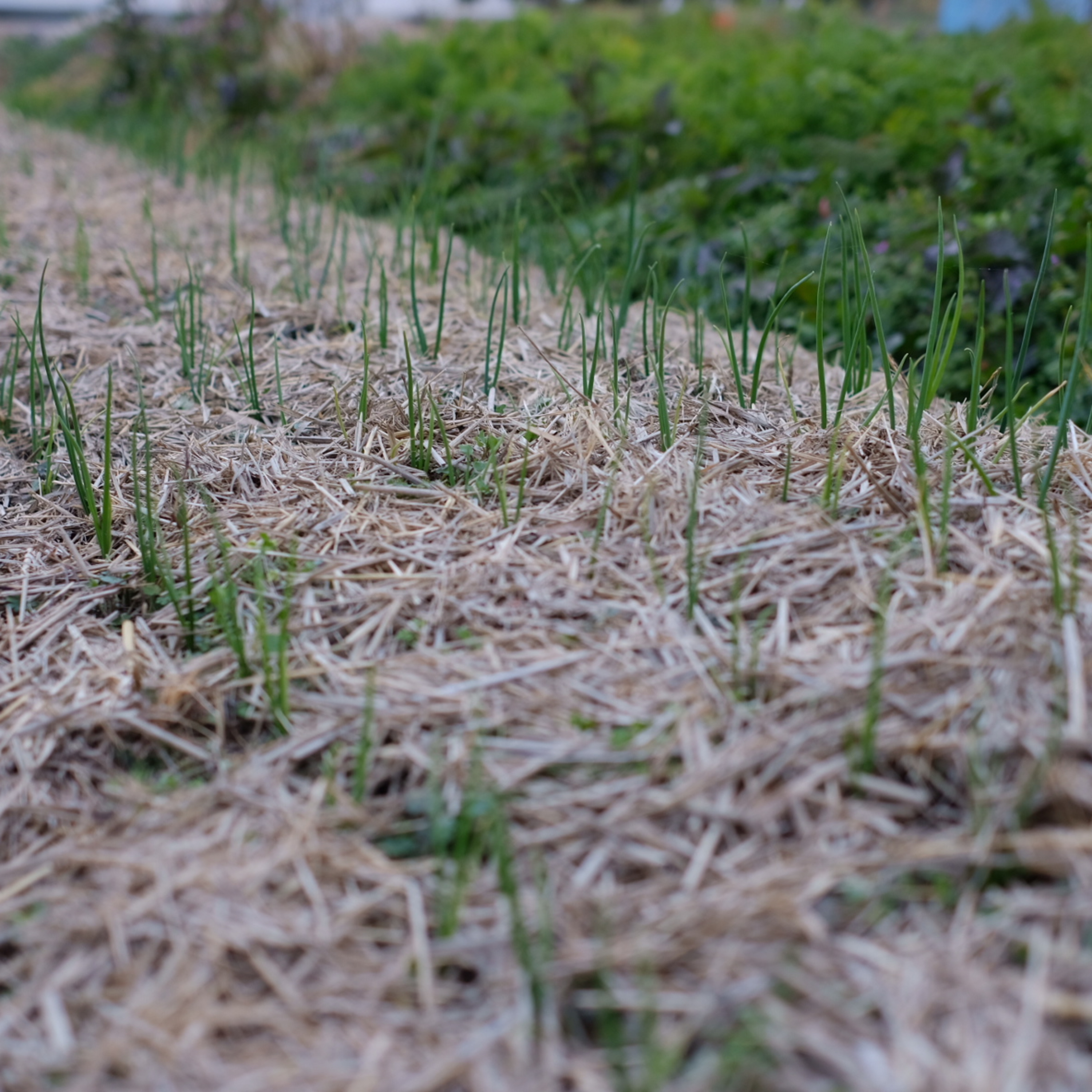 第84回　2025年の振り返り③