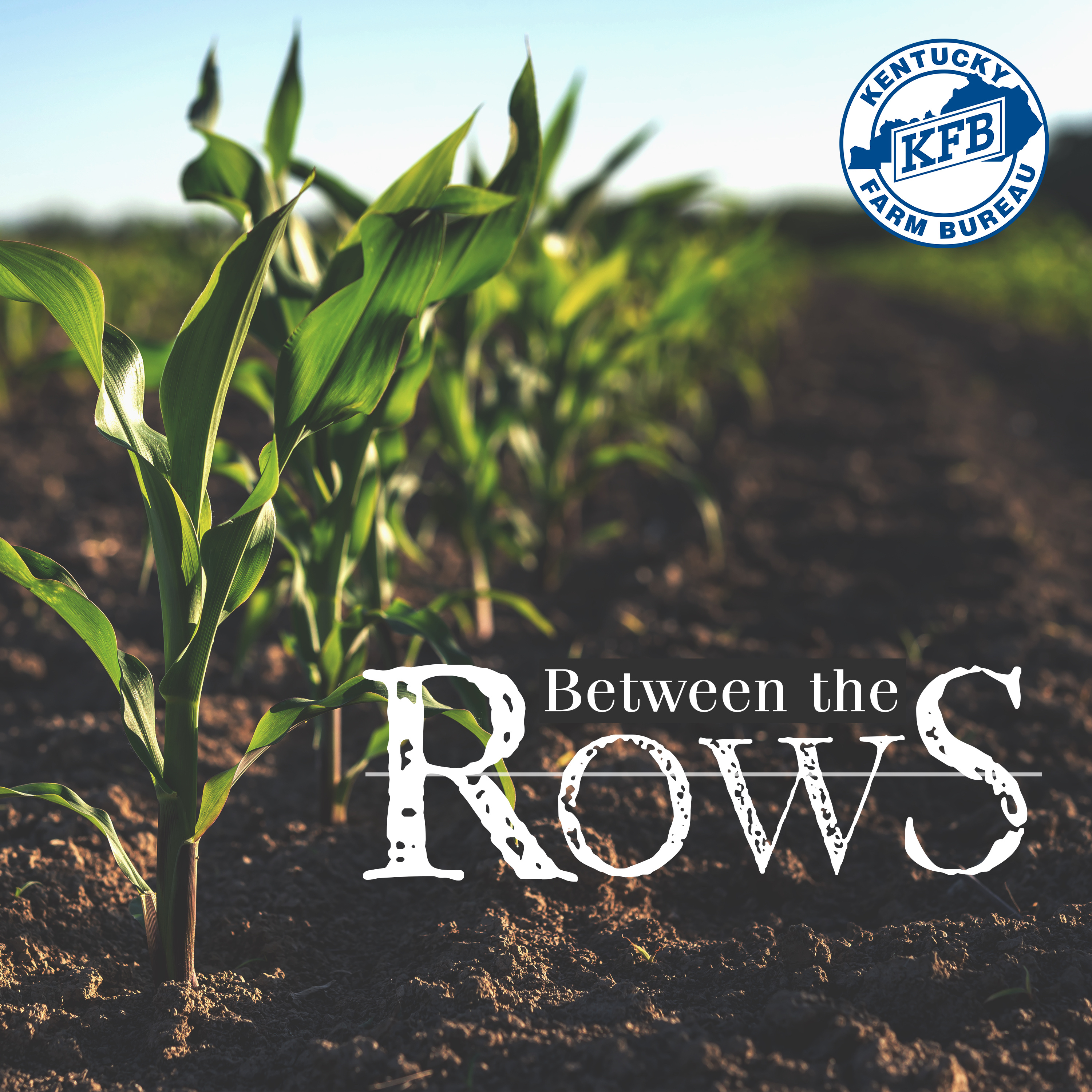 Agri-Pulse Founder and Publisher Sara Wyant | Between the Rows
