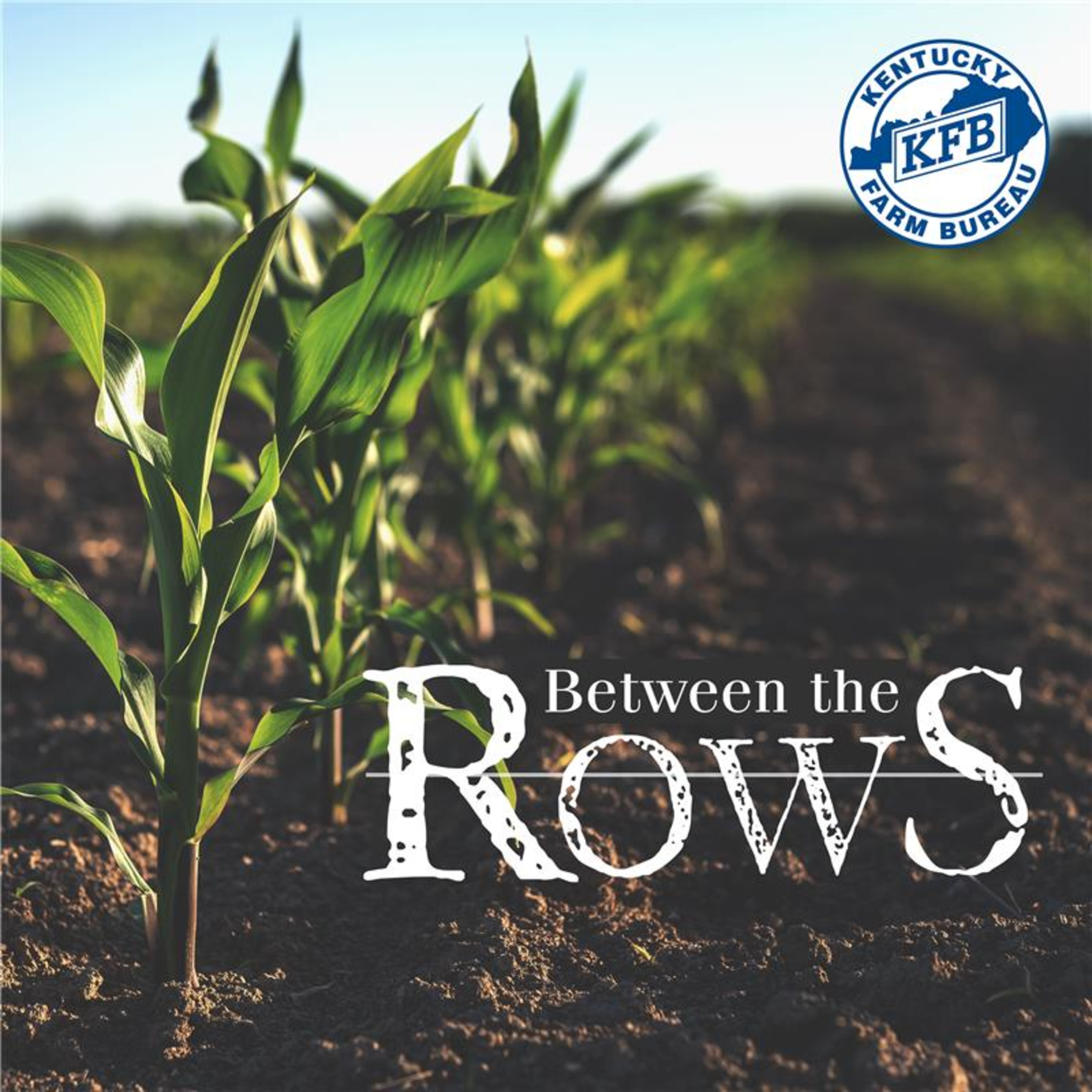 Legacy Farm Owner John Paul Skaggs | Between the Rows | Kentucky Farm Life