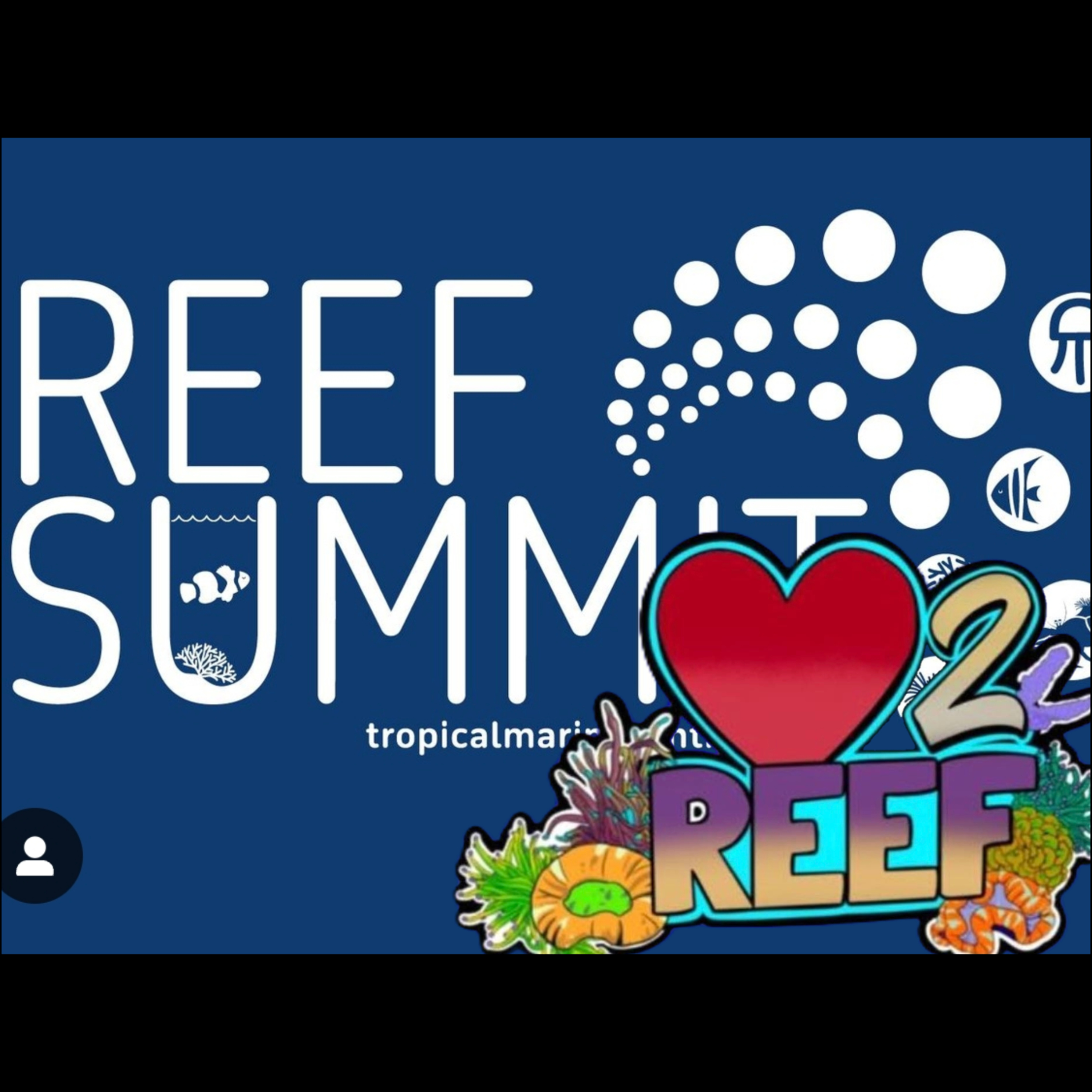 Love 2 Debrief - Reporting Back On Our Week on the Road | The Prestige Reef Dork Show Ep 94