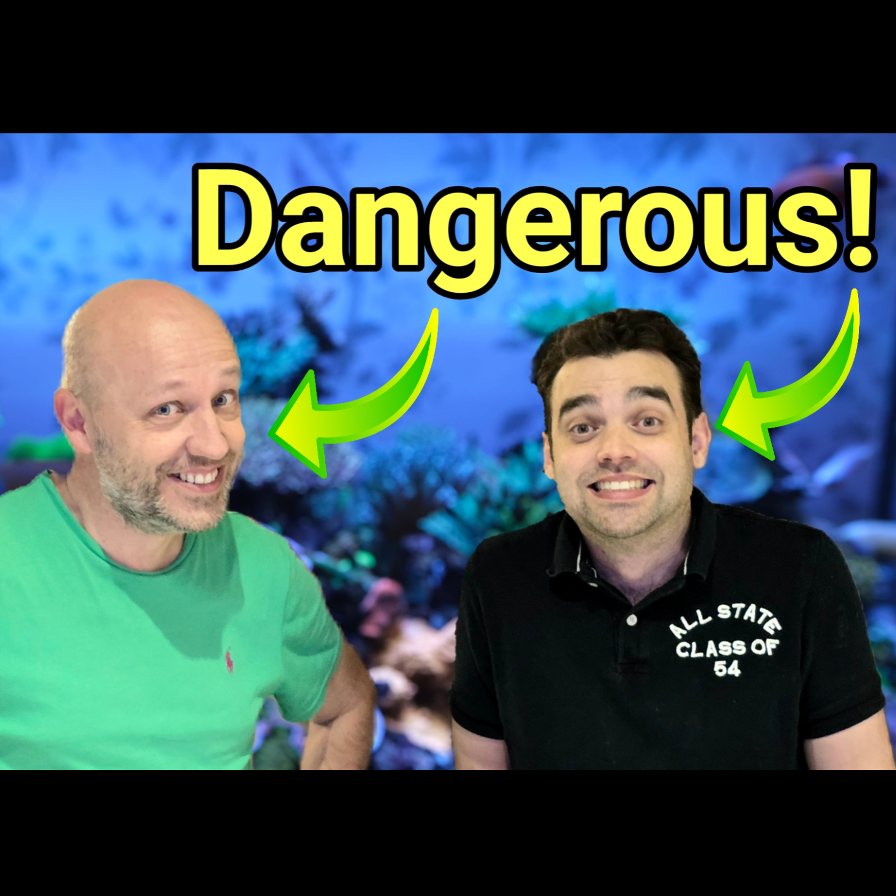 Watching This Livestream is Dangerous | The Prestige Reef Dork Show Ep 109