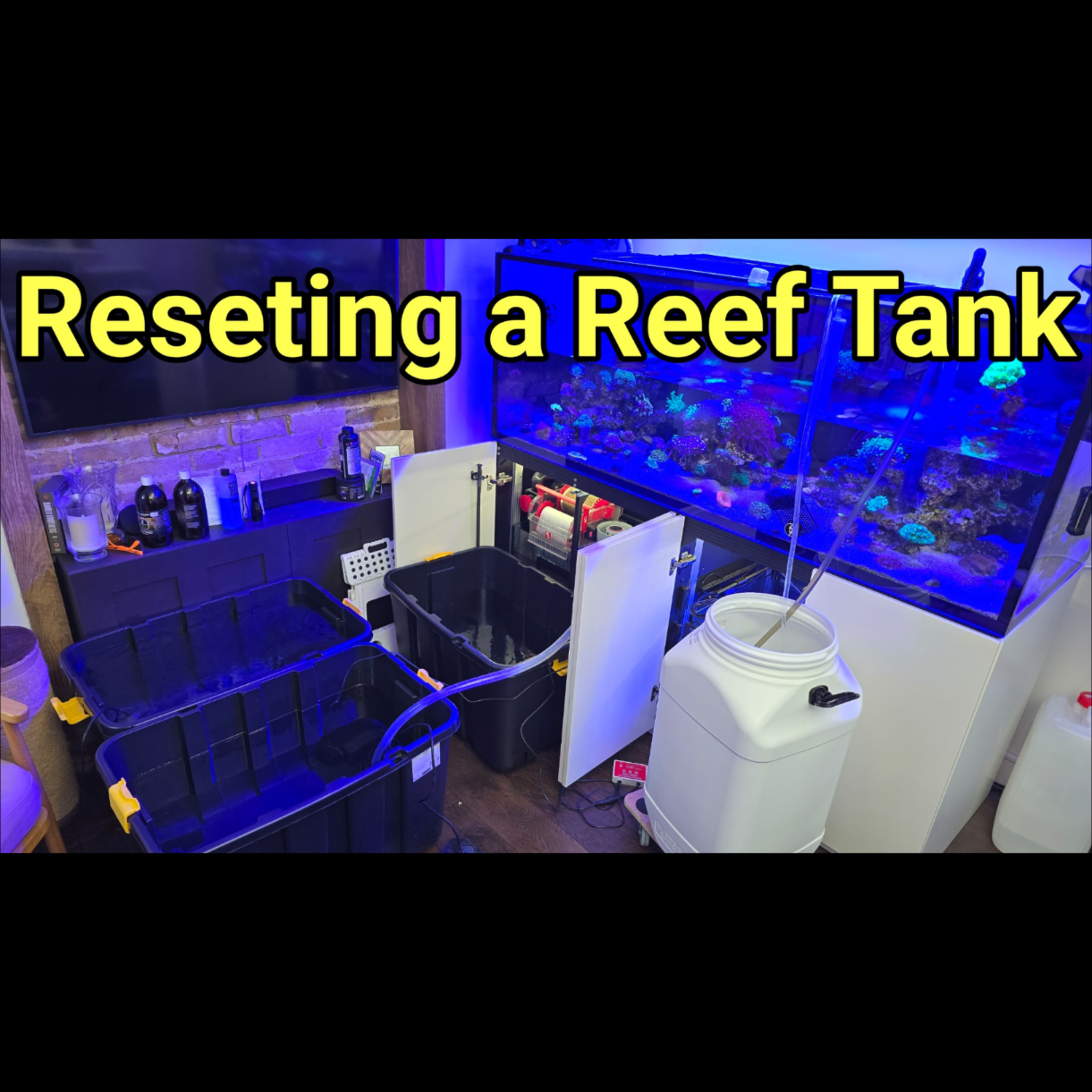 Demystifying the "Reefing Reset": When and How to Safely Restart Your Tank | The Prestige Reef Dork Show Ep 120 episode artwork