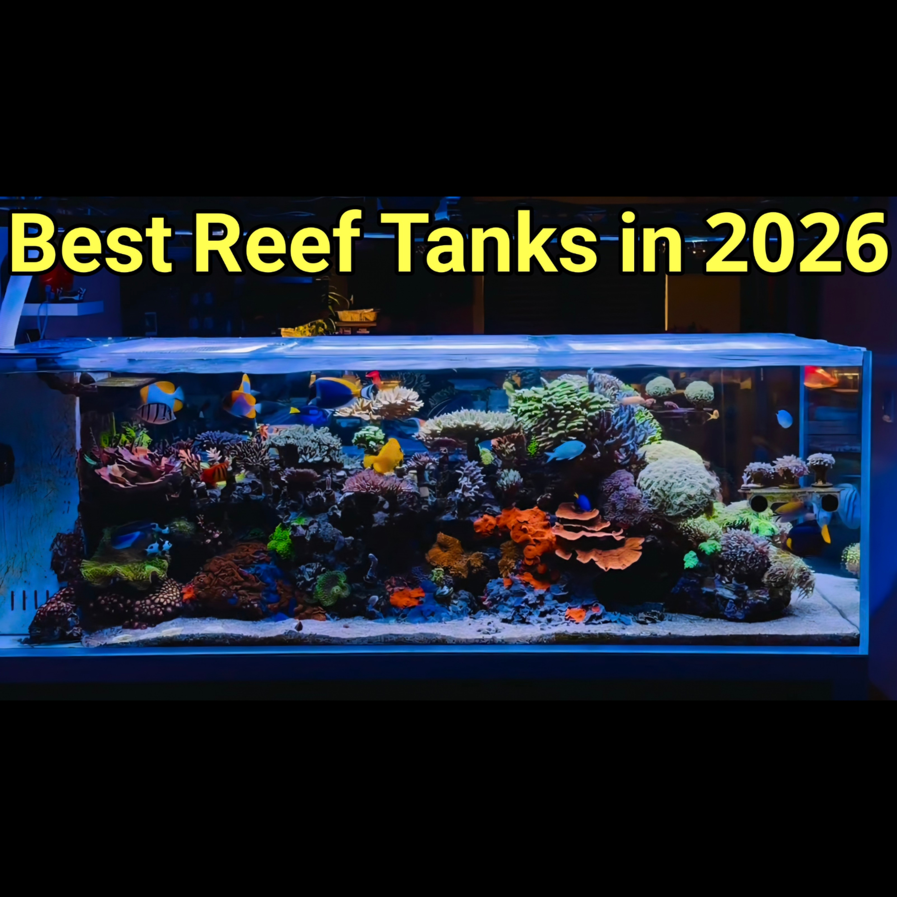 10 Best Reef Tanks on the Internet in 2026 | The Prestige Reef Dork Show Ep 128 episode artwork