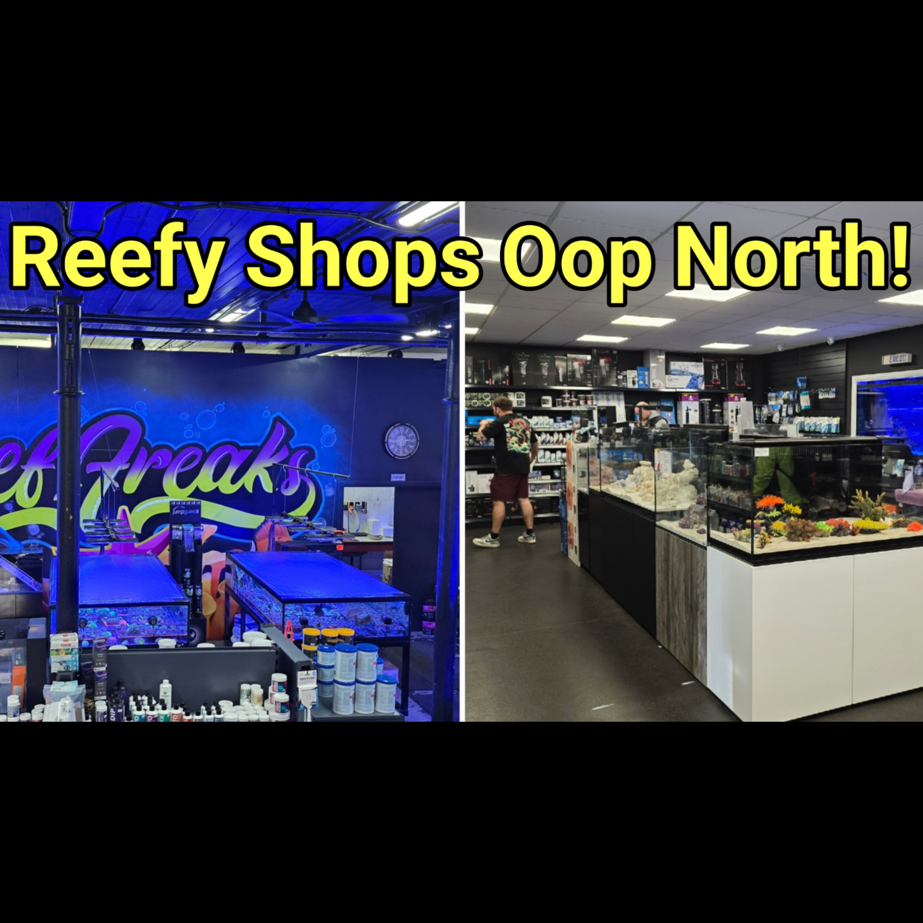 What I Found On My North of England LFS Road Trip! The Prestige Reef Dork Show Ep 130 episode artwork