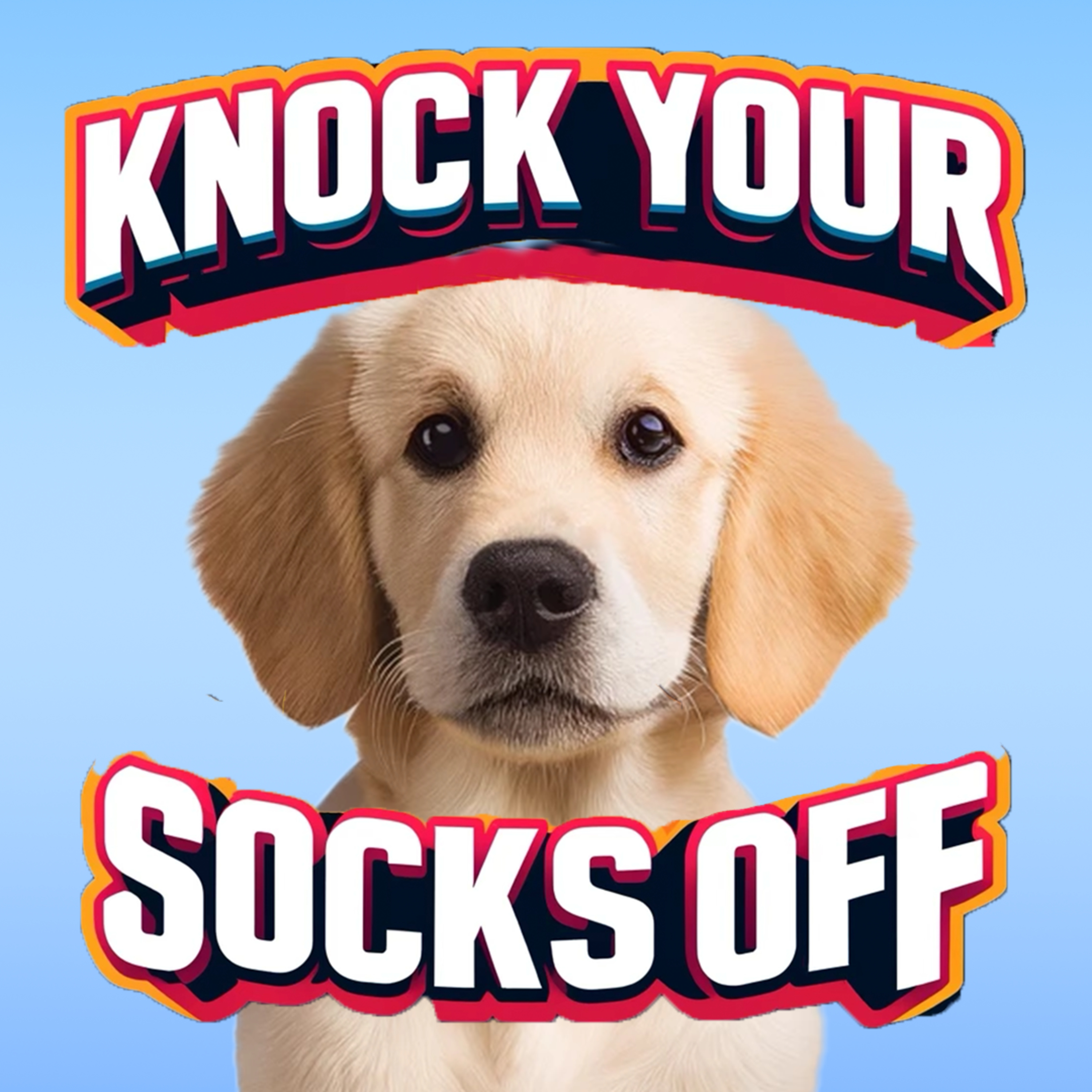 Adopt, Don’t Shop: Navigating Pet Ownership | Knock Your Socks Off Podcast Ep. 3 episode artwork