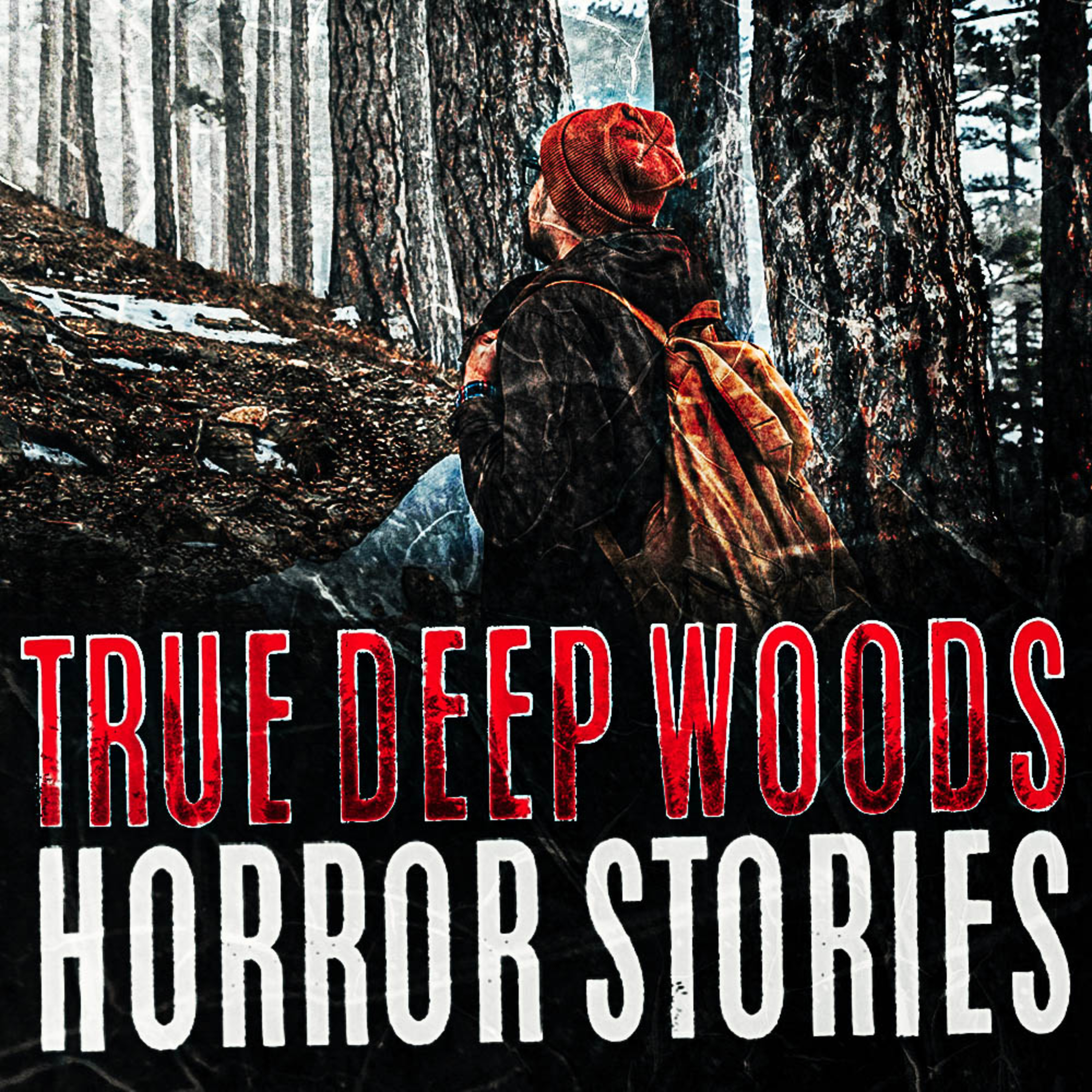 Alone in the Deep Woods: True Hiking & Camping Horror Stories | Rain Sounds for Sleep with Mr Revenant. Episode 1 episode artwork