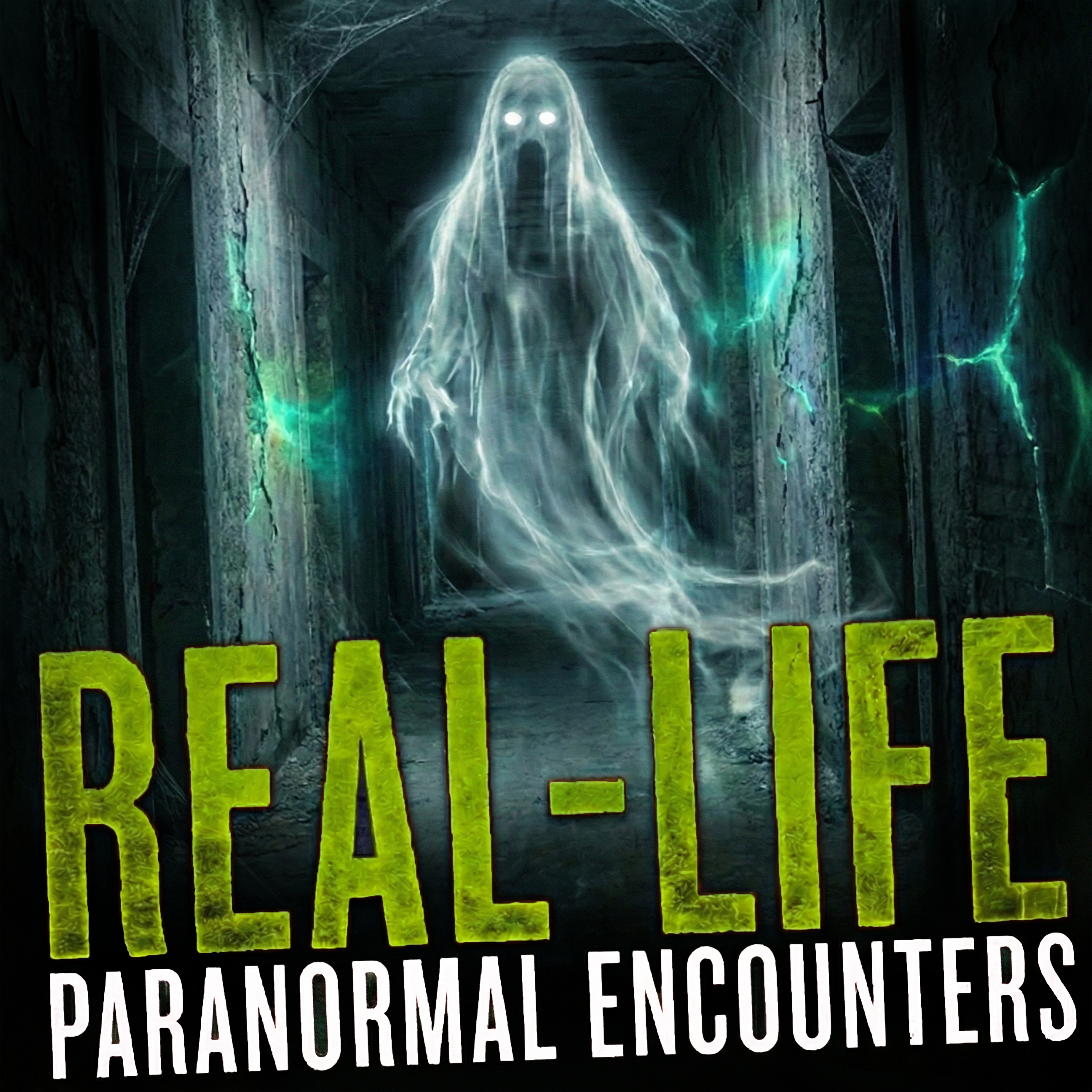 Allegedly True Encounters with the Paranormal That Will Make You a Believer episode artwork