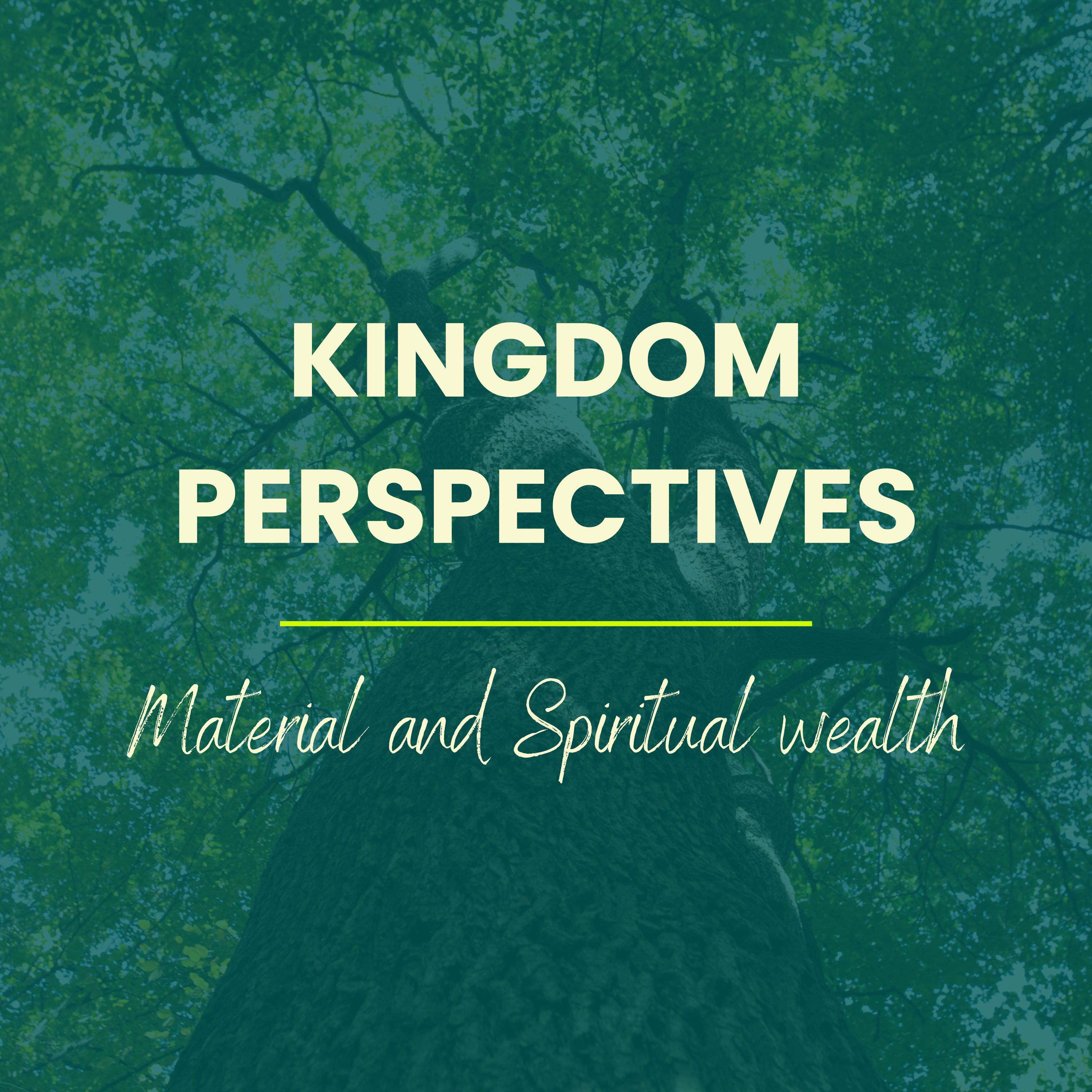 01 September 2024: Kingdom Perspective on Money and Wealth (David Pounder) episode artwork