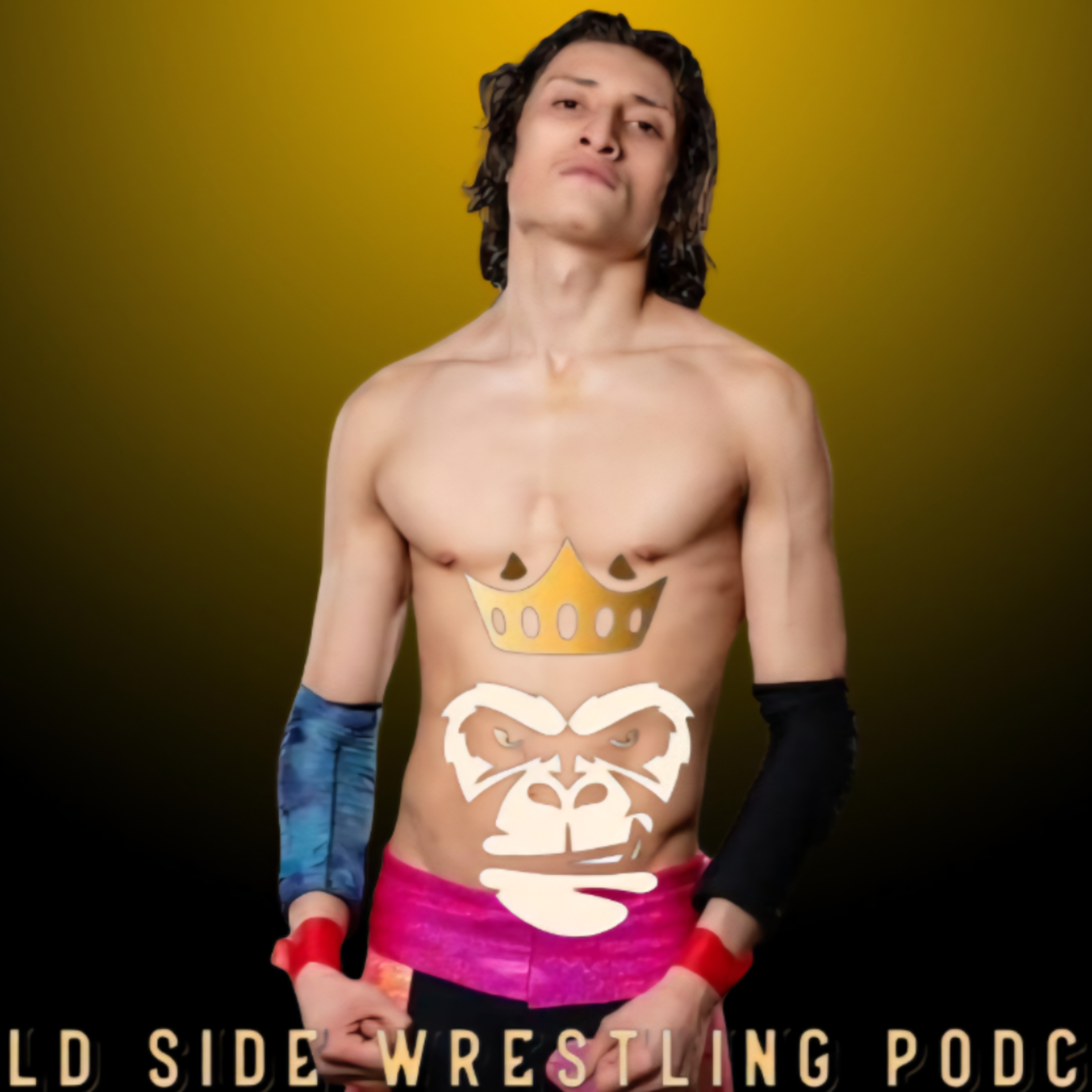 WILD SIDE WRESTLING PODCAST