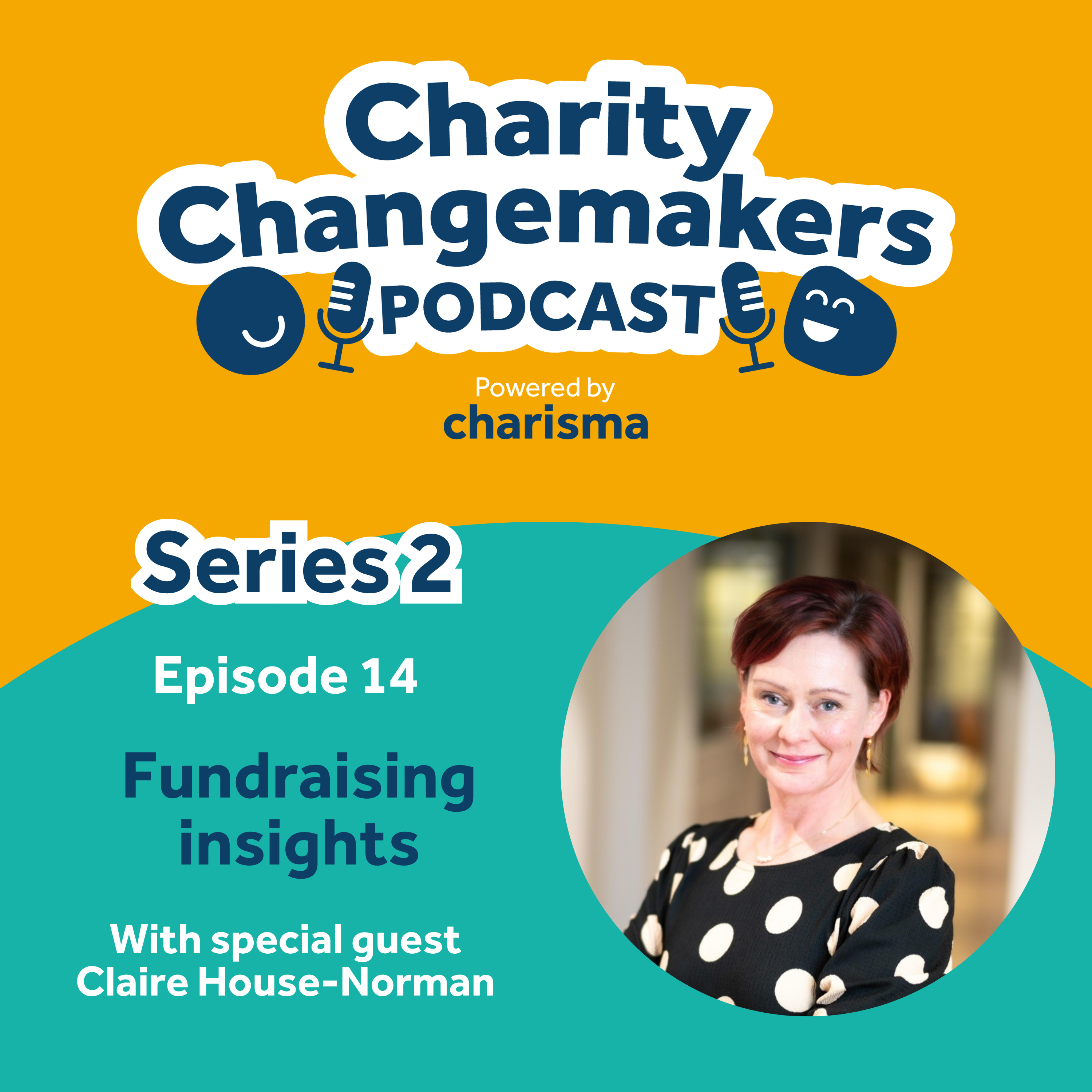 The Charity Changemakers Podcast