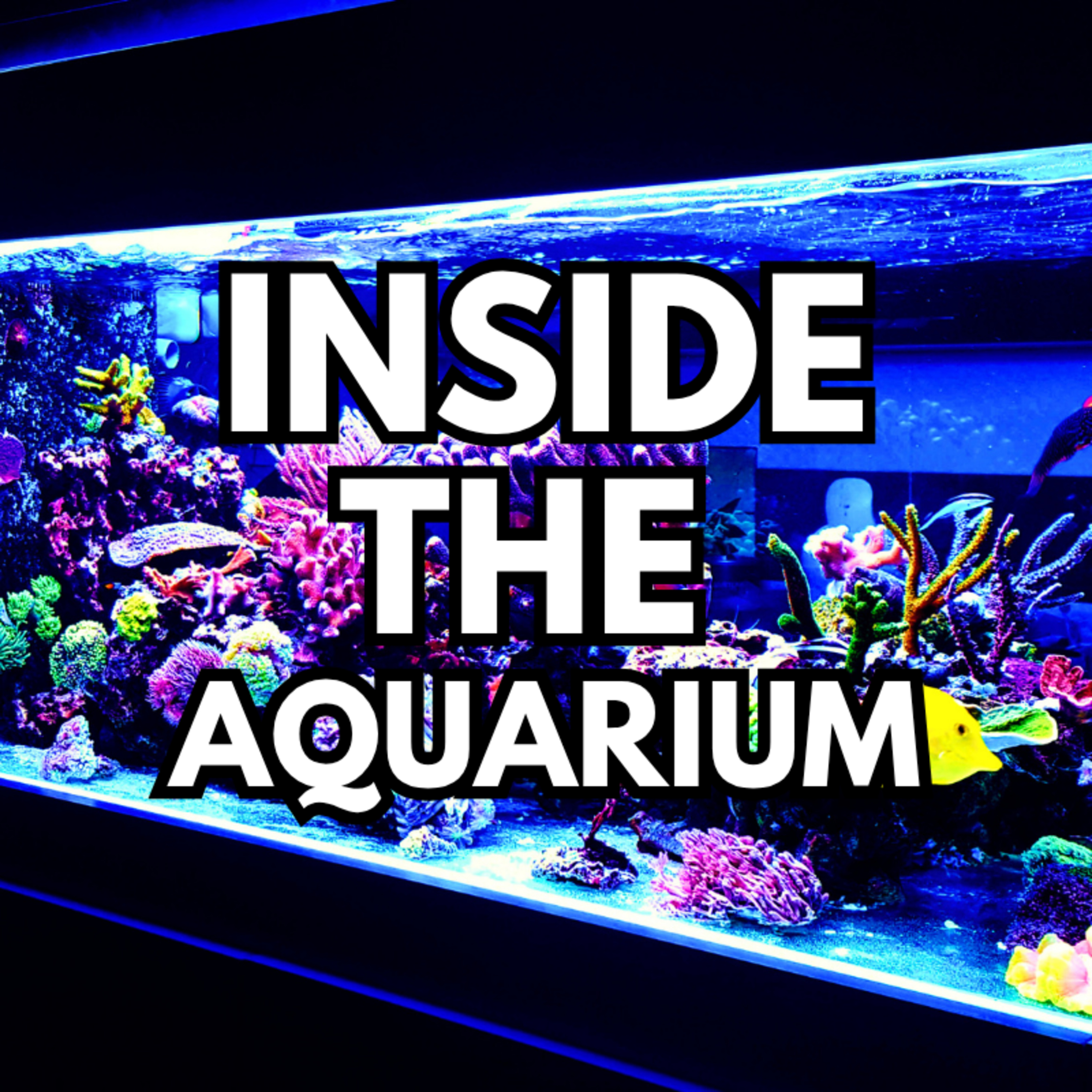 Inside the Aquarium: Making a Top Soviet Spy (NotebookLM Deep Dive)