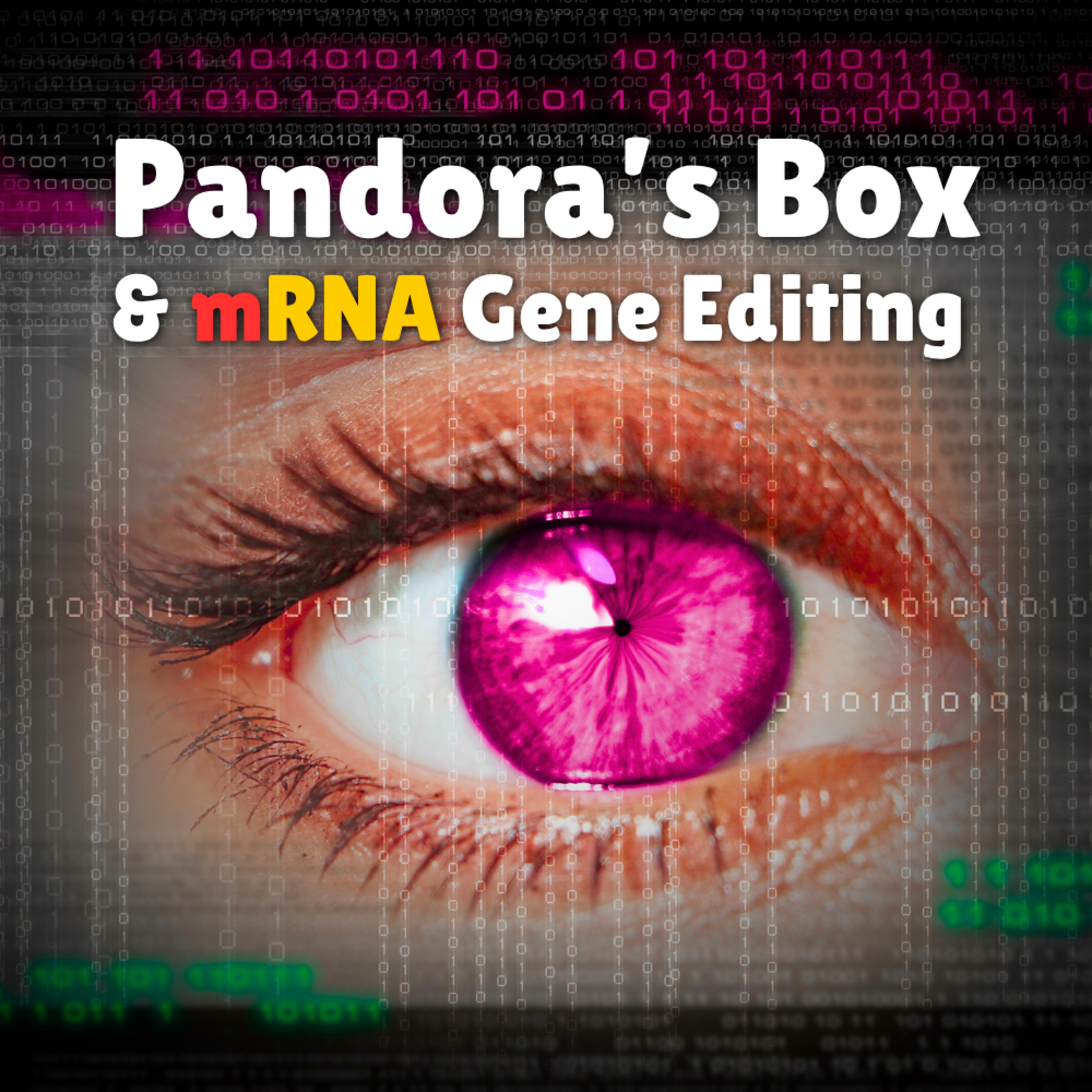 Pandora's Box & mRNA Gene Editing [Dr. Rima E. Laibow & Others] episode artwork