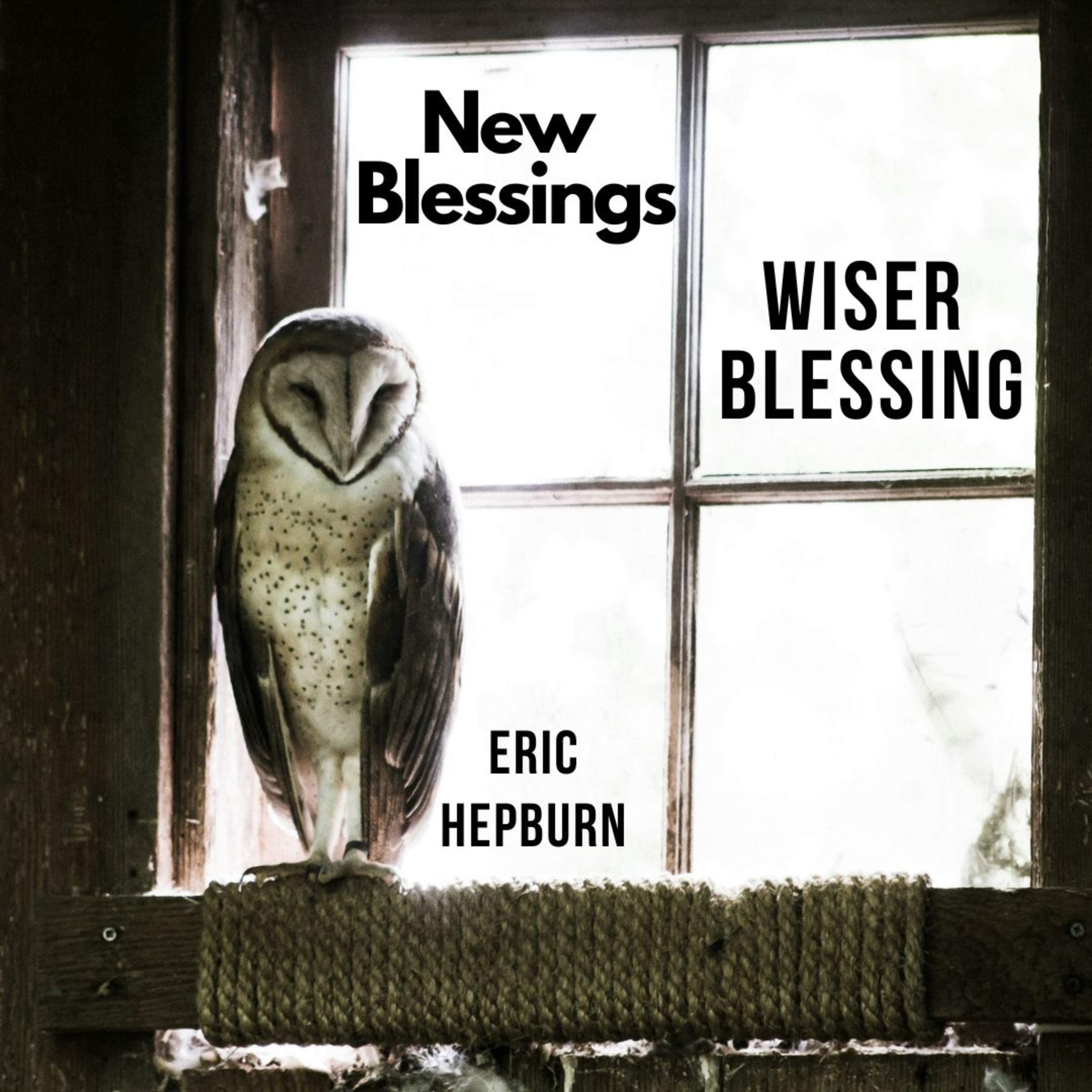 New Blessings, Wiser Blessing episode artwork