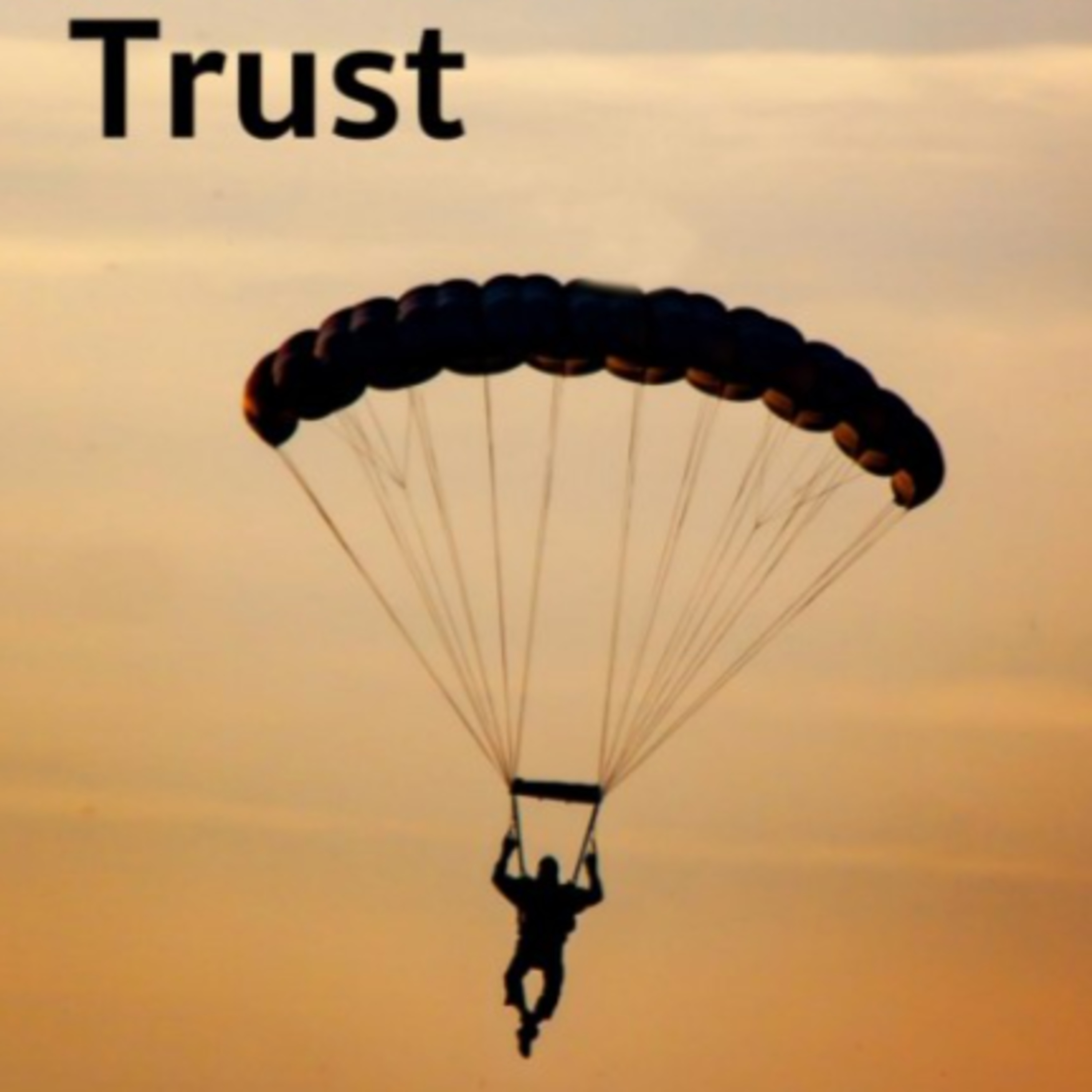 Trust episode artwork