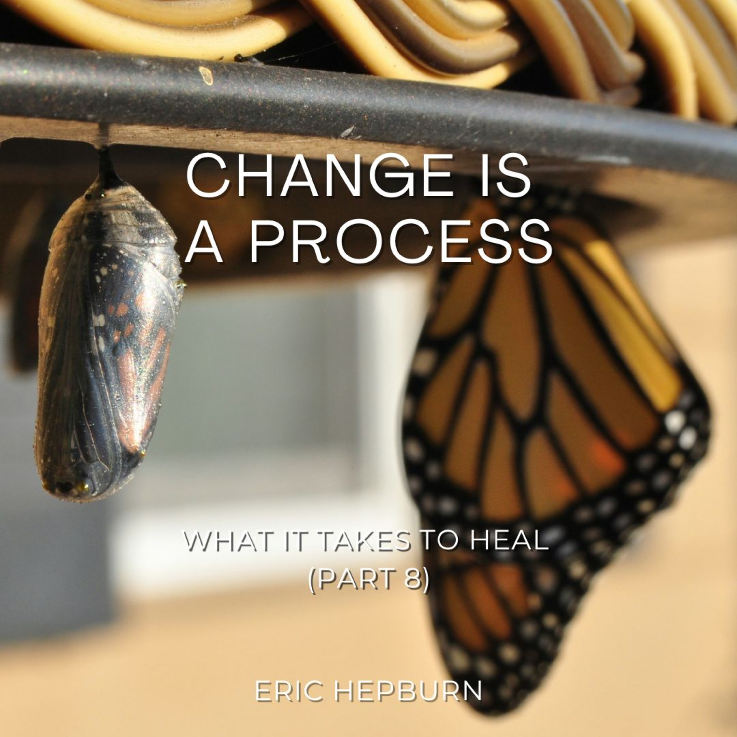 Change is a Process episode artwork