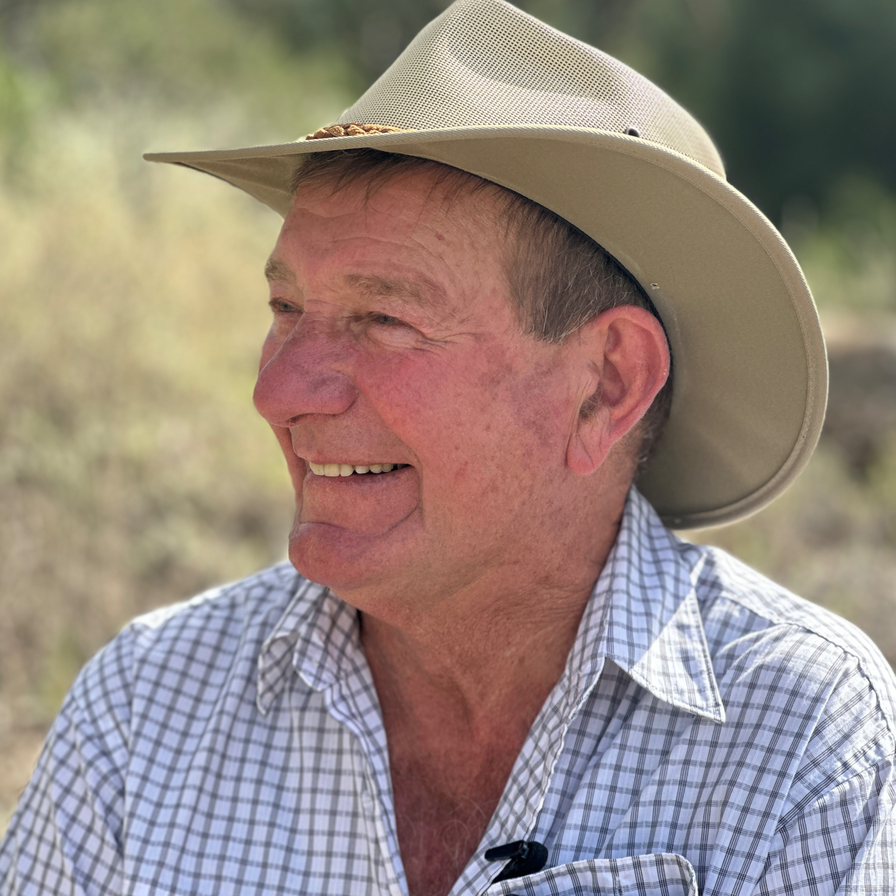 Salt of the Earth Farm Stories
