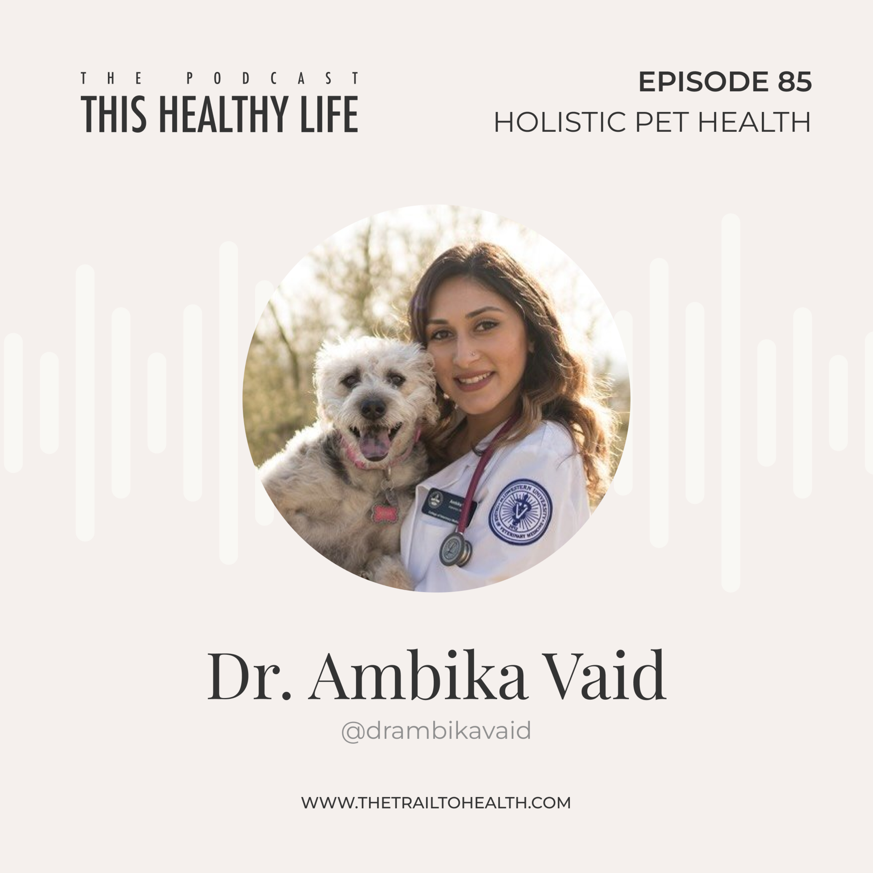 Episode 85 - Dr Ambika Vaid - Holistic Pet Health: What Your Vet Isn’t Telling You episode artwork