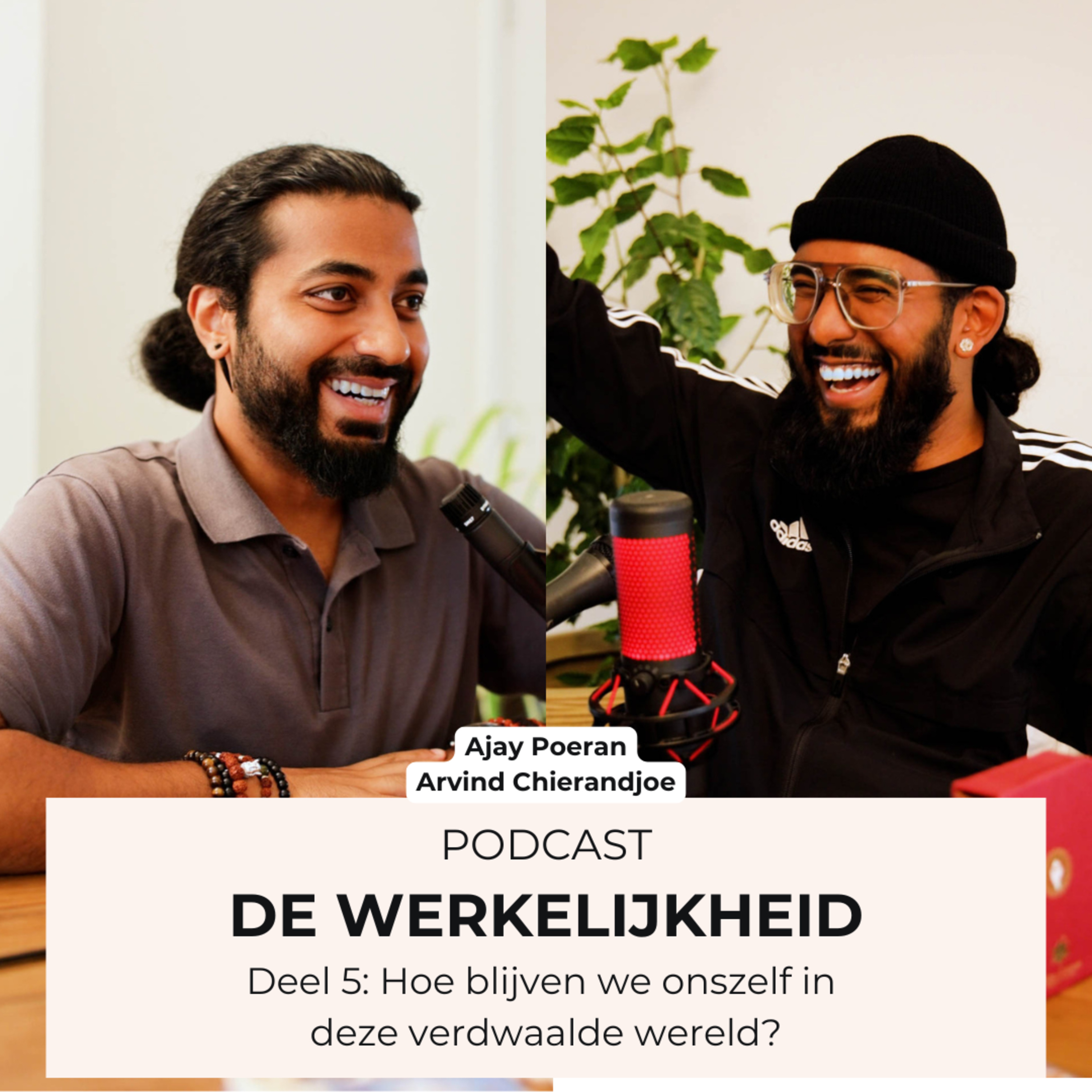 De Werkelijkheid