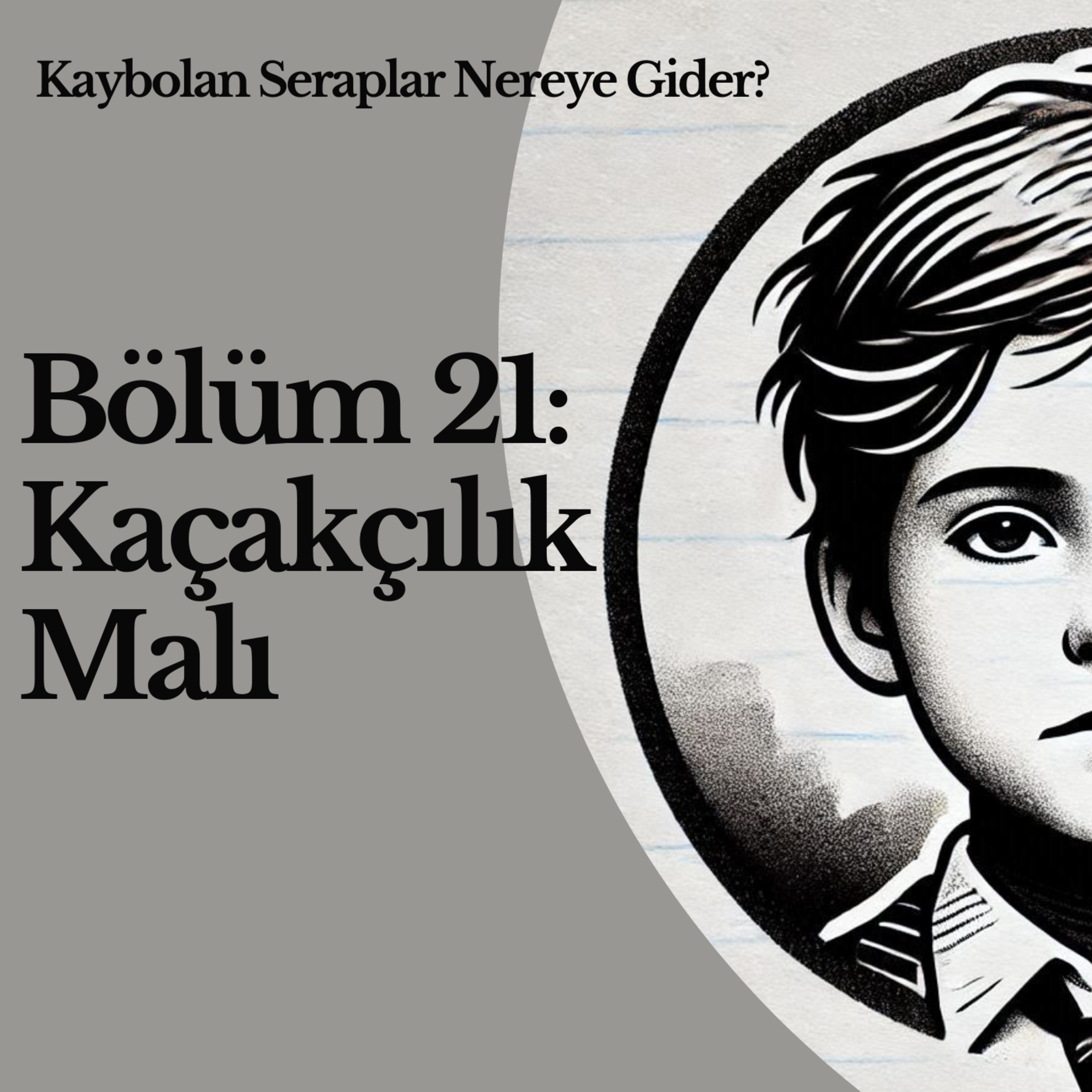Bölüm 21: Kaçakçılık Malı episode artwork
