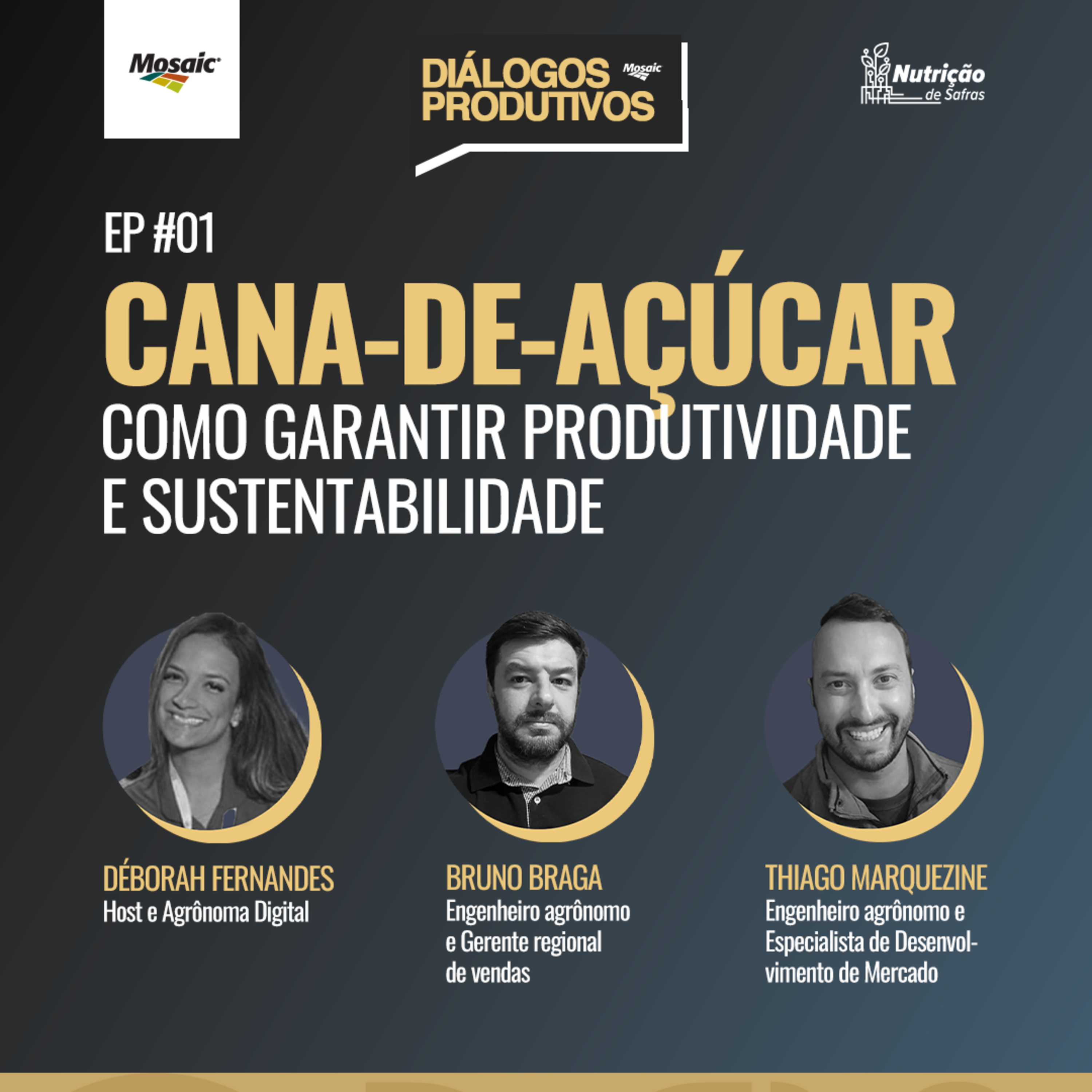 Diálogos Produtivos [#01] - Cana-de-açúcar: Como garantir produtividade e sustentabilidade.