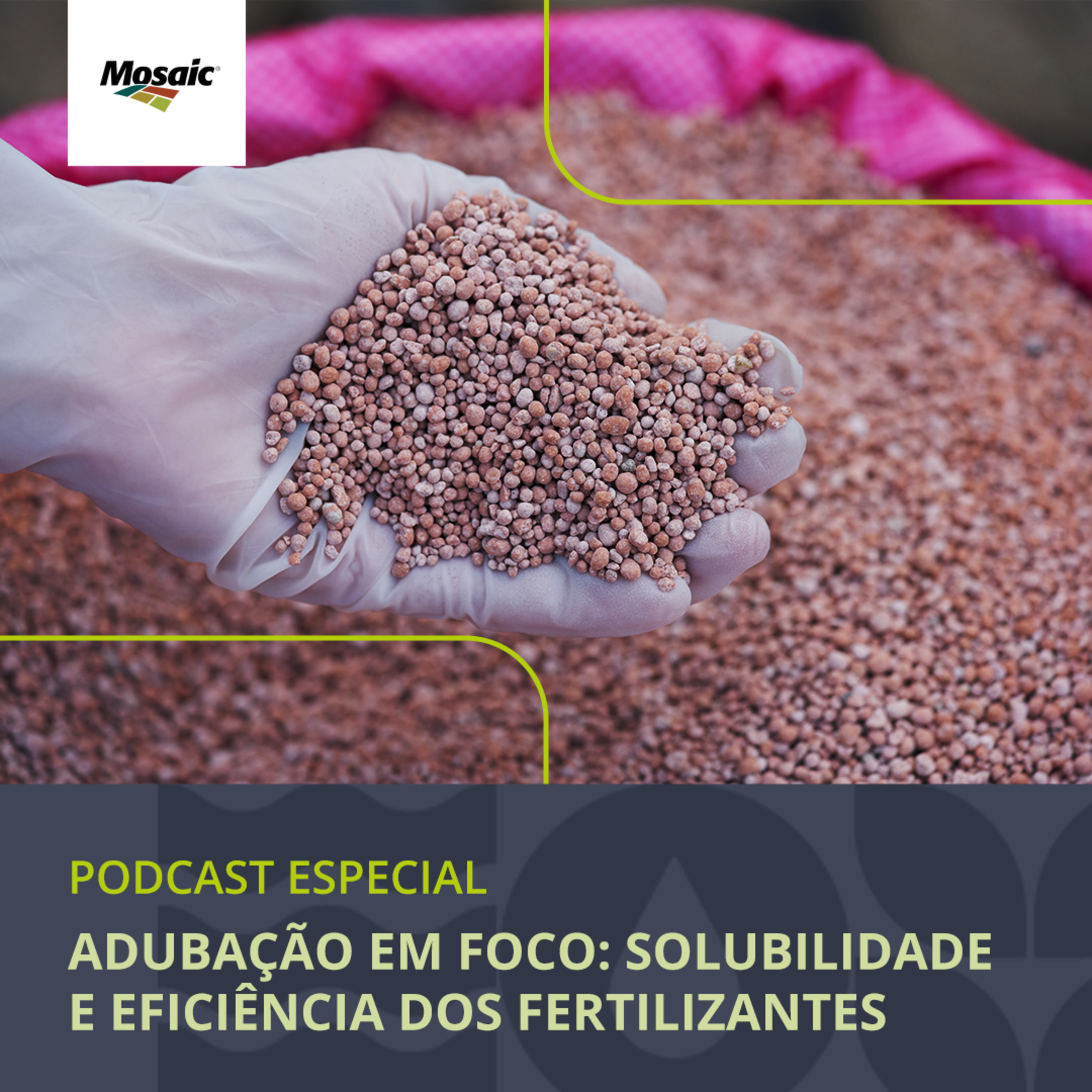 [Podcast Especial] - Adubação em Foco: Solubilidade e Eficiência dos Fertilizante