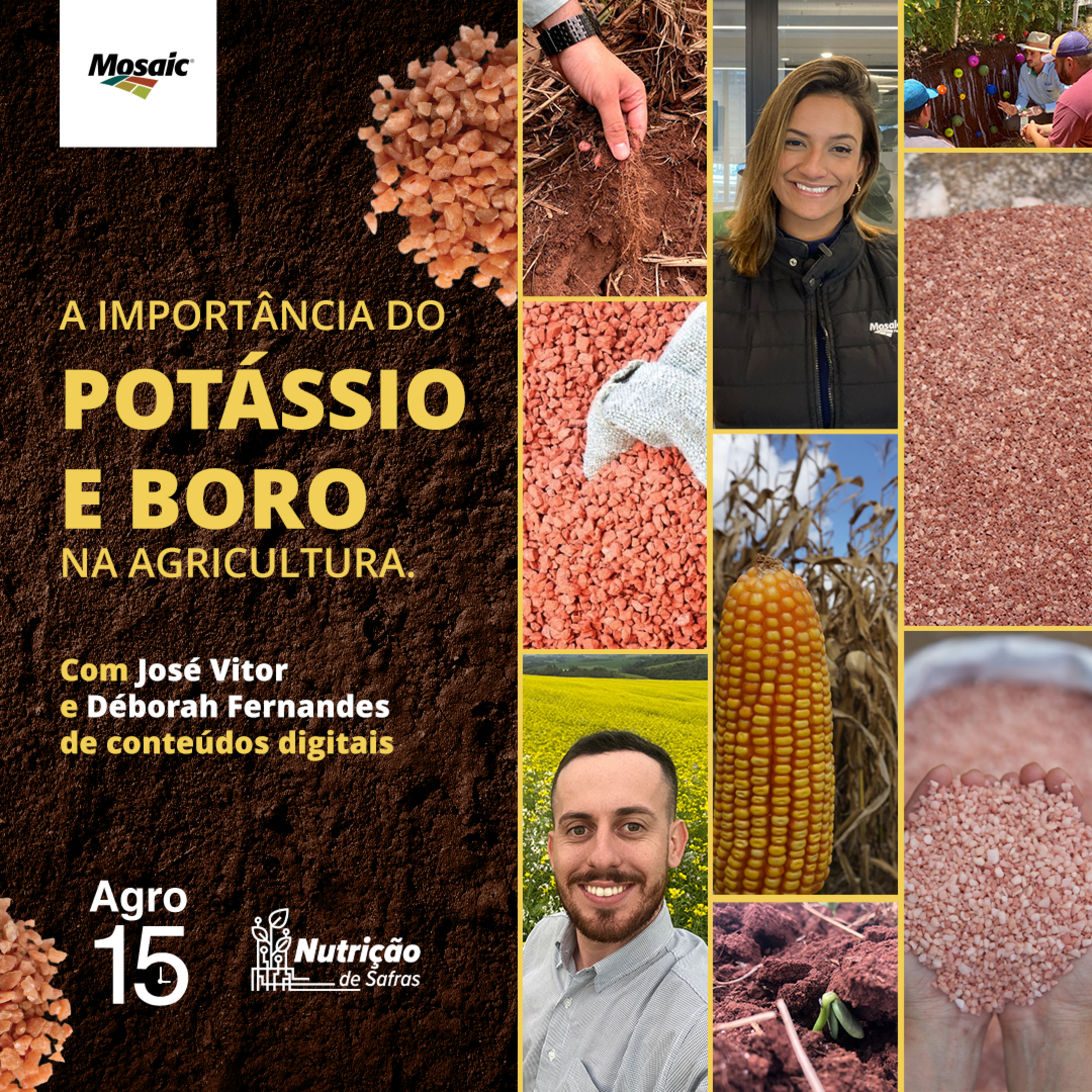 [Agro15] - A importância do Potássio e Boro na agricultura.