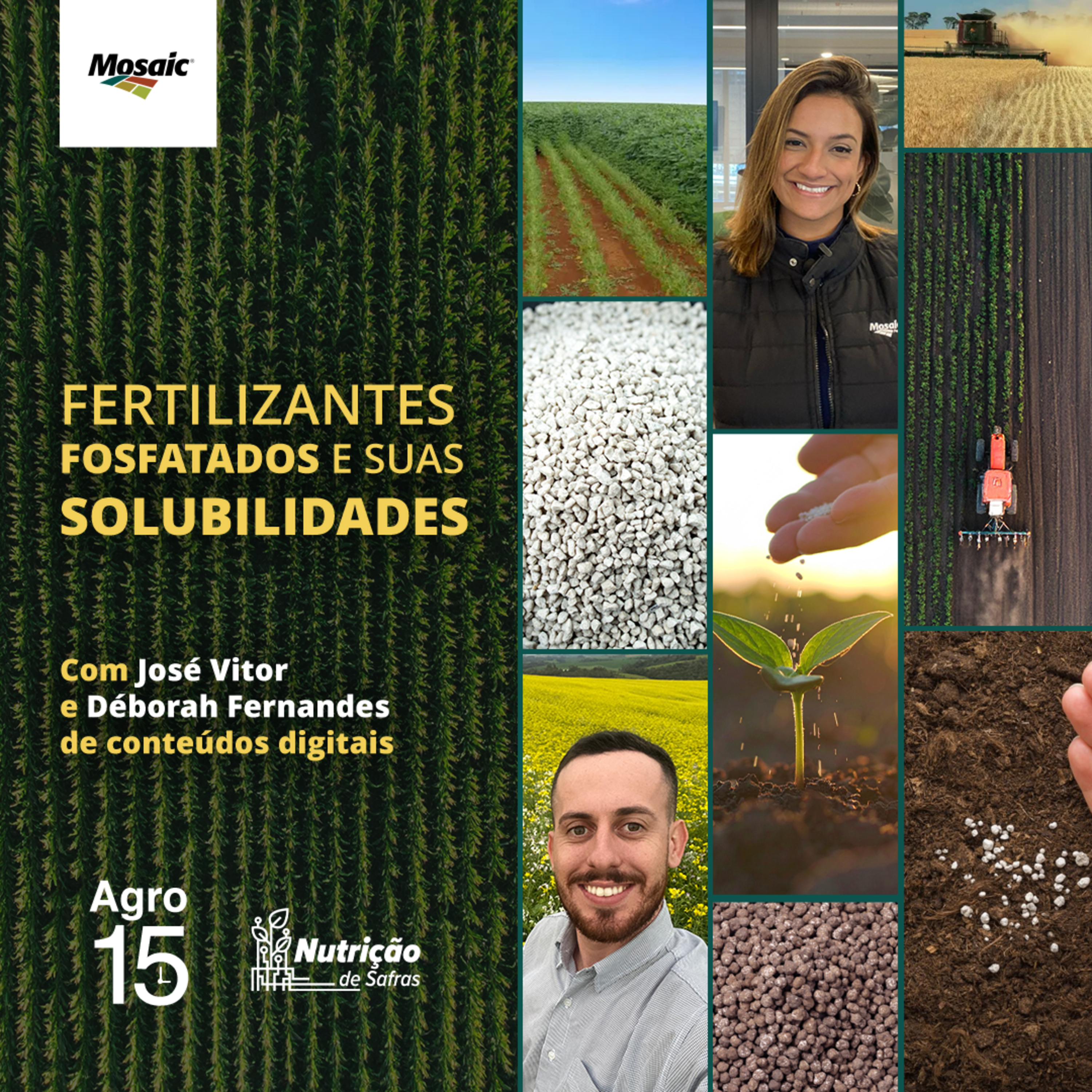 [Agro15] - Fertilizantes fosfatados e suas solubilidades