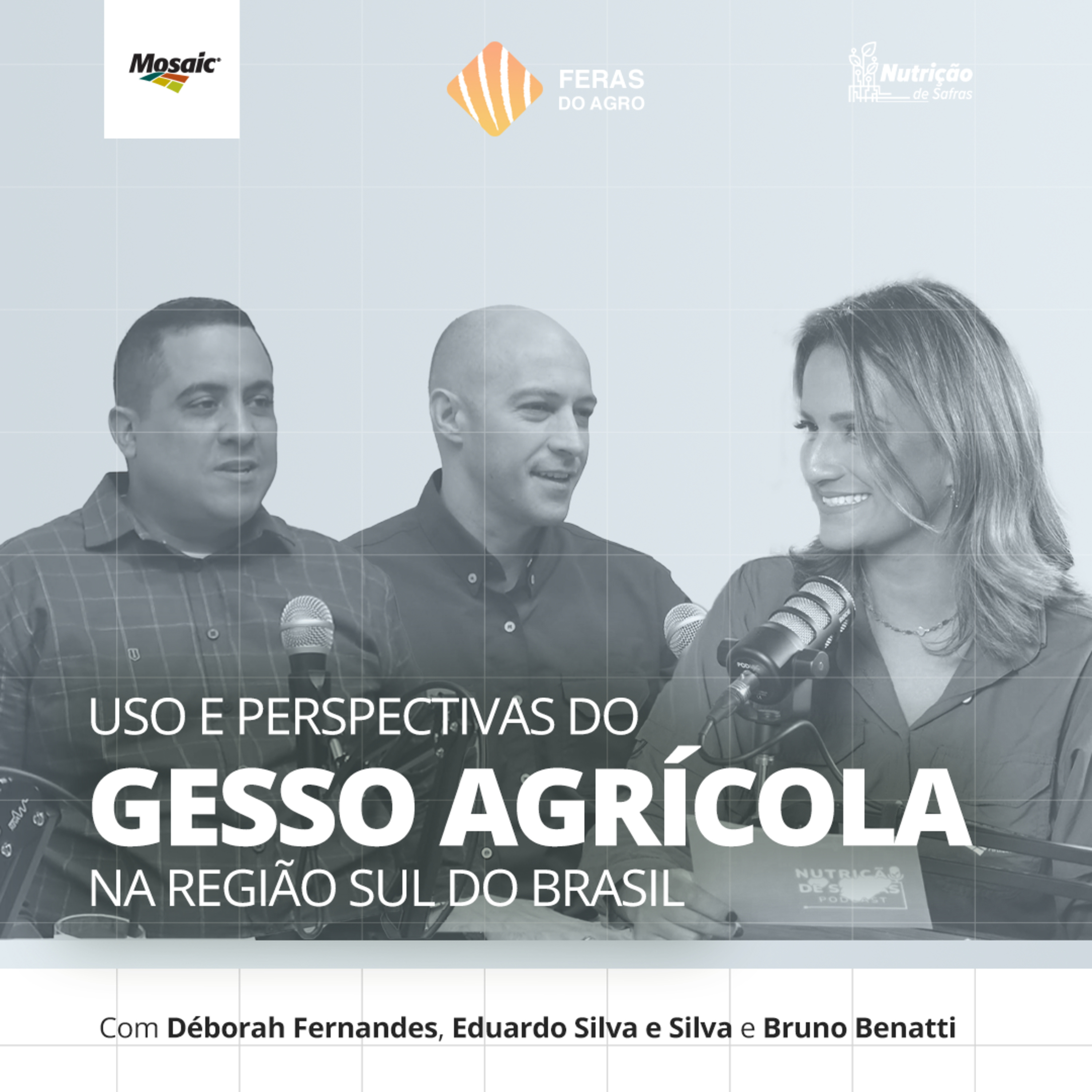 Feras do Agro [#08] - Uso e perspectivas do gesso agrícola na região sul do Brasil