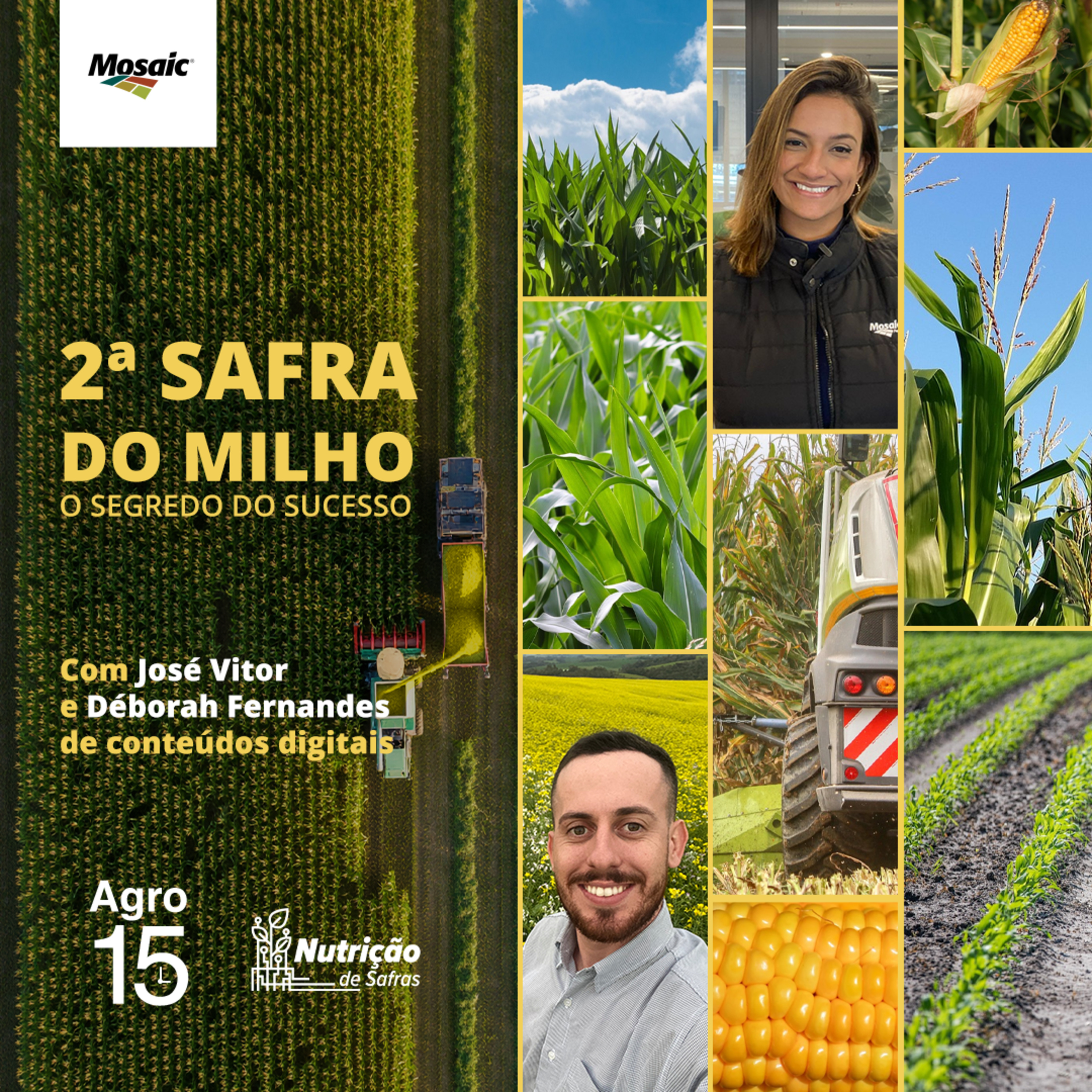 [Agro15] - 2ª Safra do milho: O segredo do sucesso.