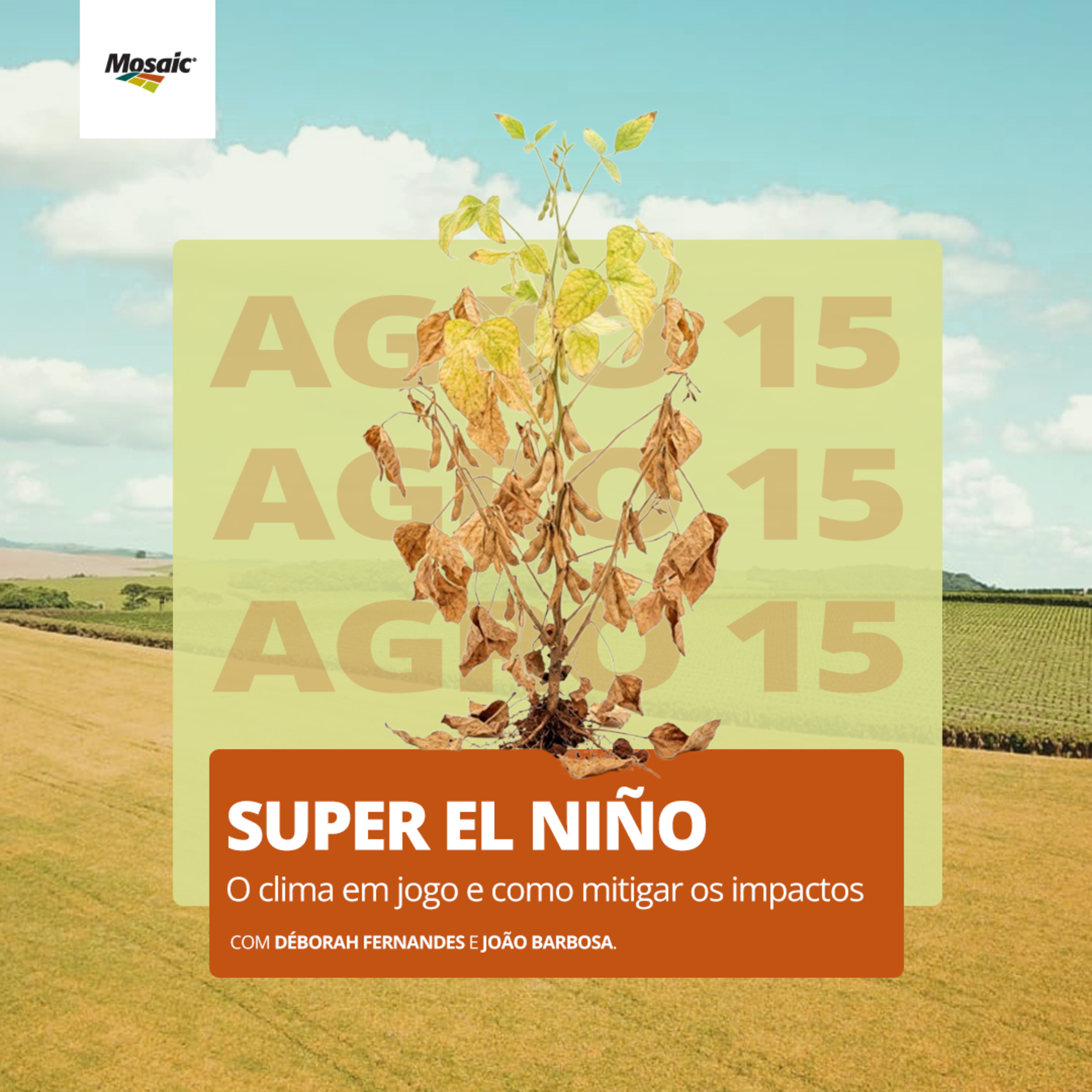 [Agro15] - Super El Niño: O clima em jogo e como mitigar os impactos episode artwork