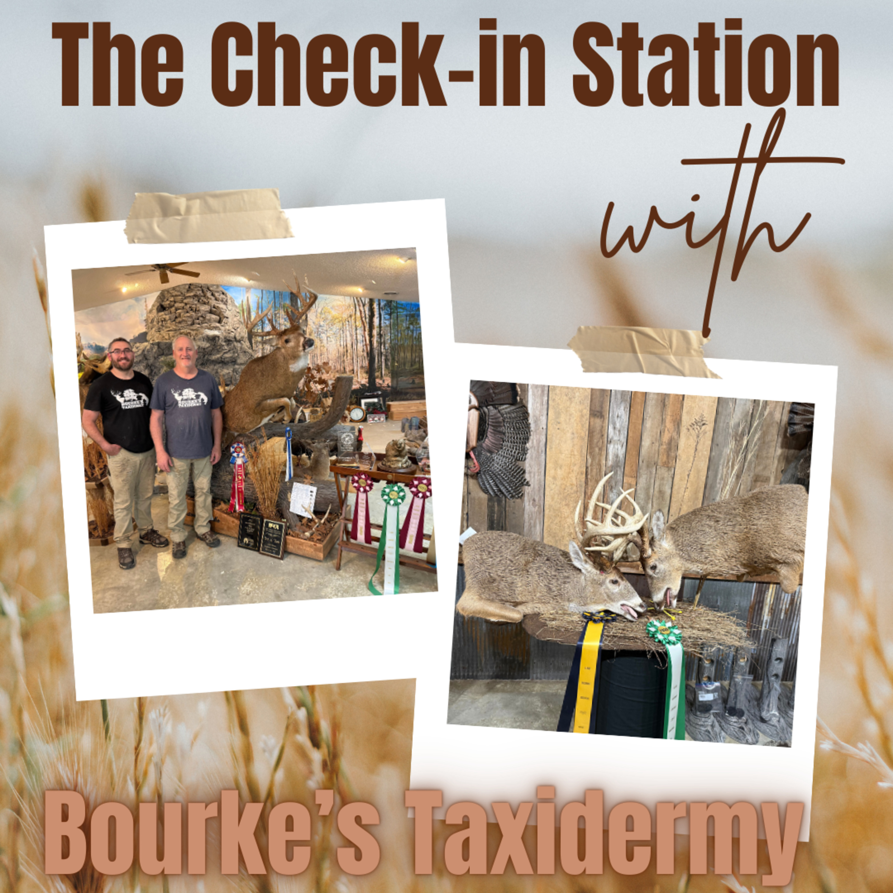 The Check-In Station