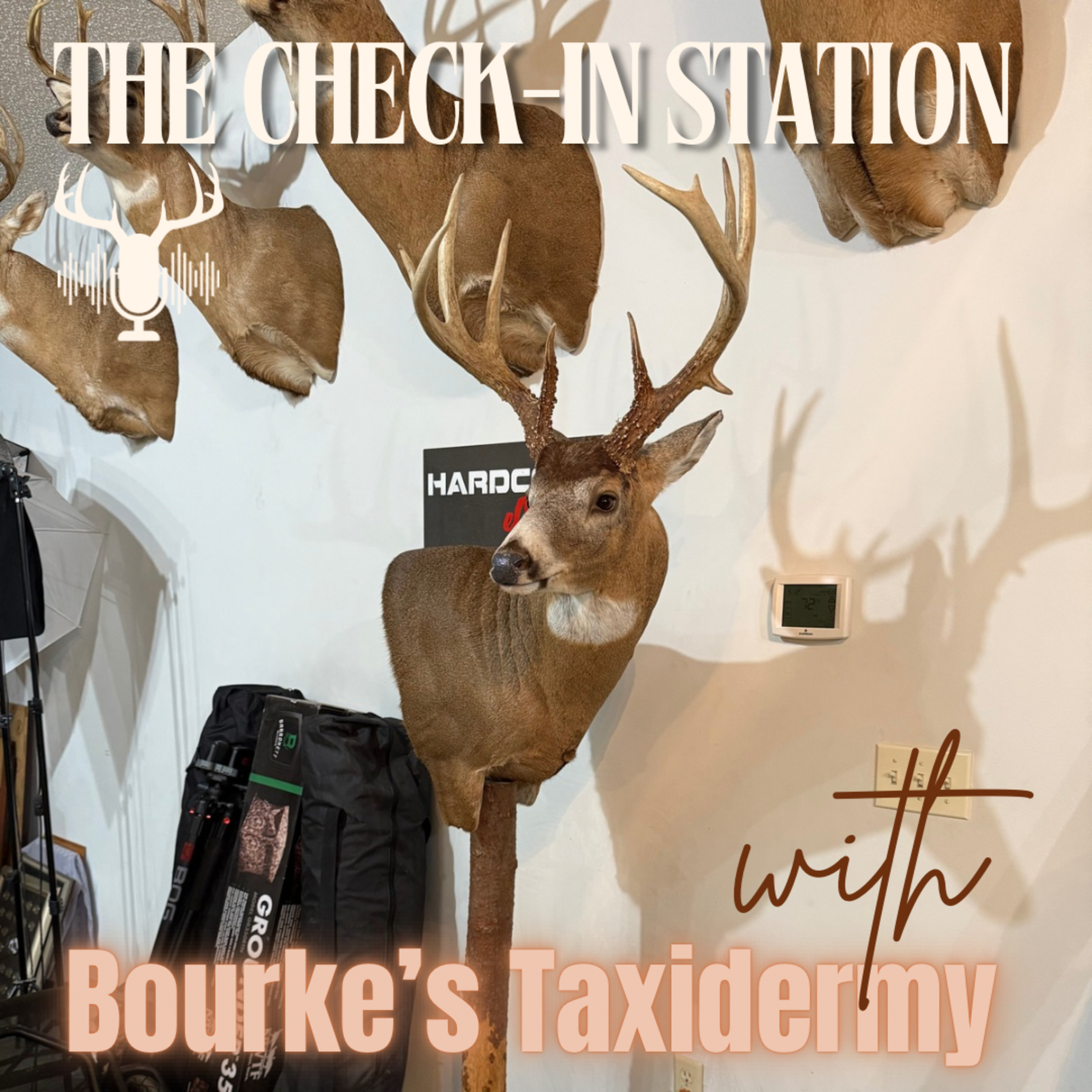 The Check-In Station