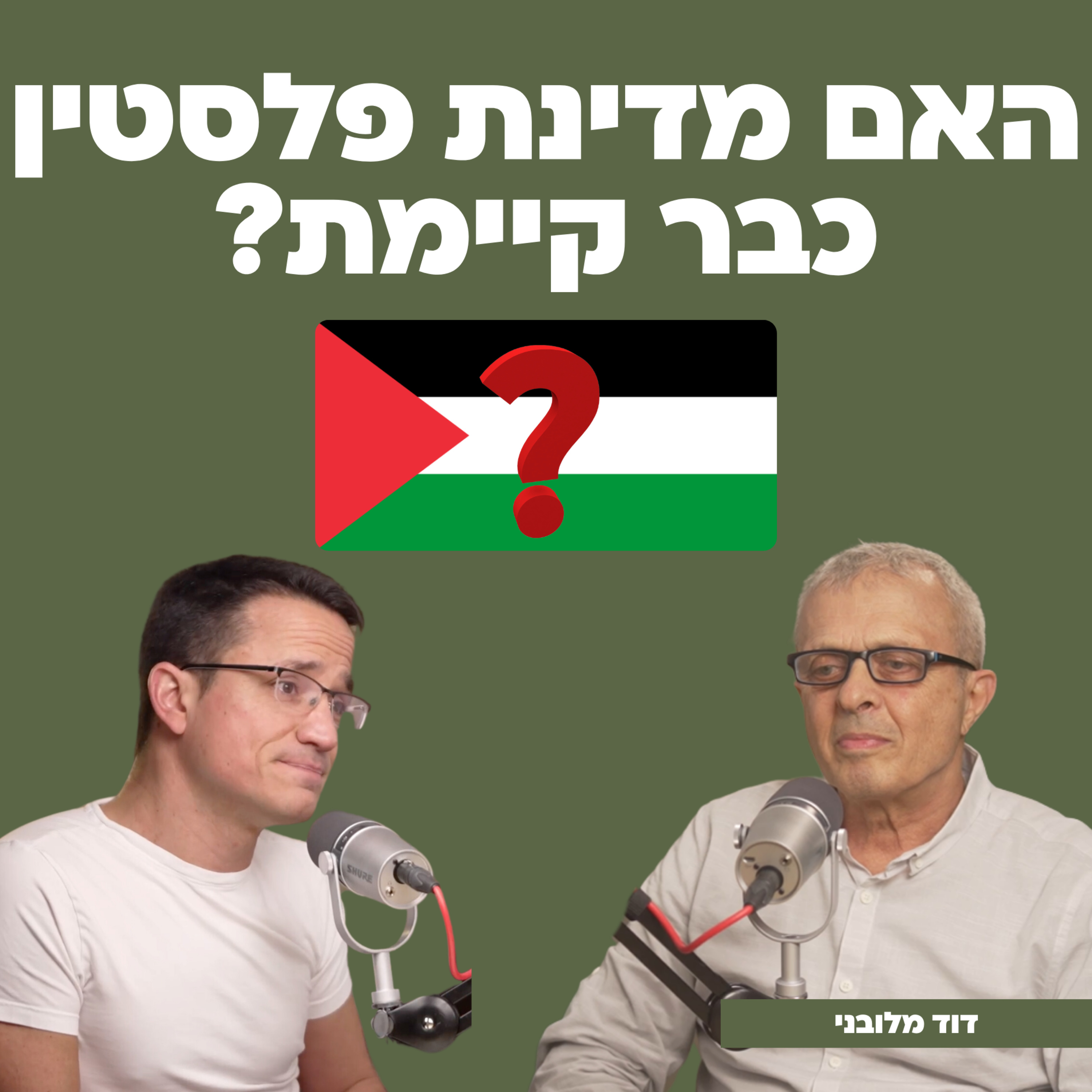 האם מדינת פלסטין כבר קיימת? עם דוד מלובני מייסד תנועת 2027 - התנועה ליציאה ממדינת פלסטין  episode artwork