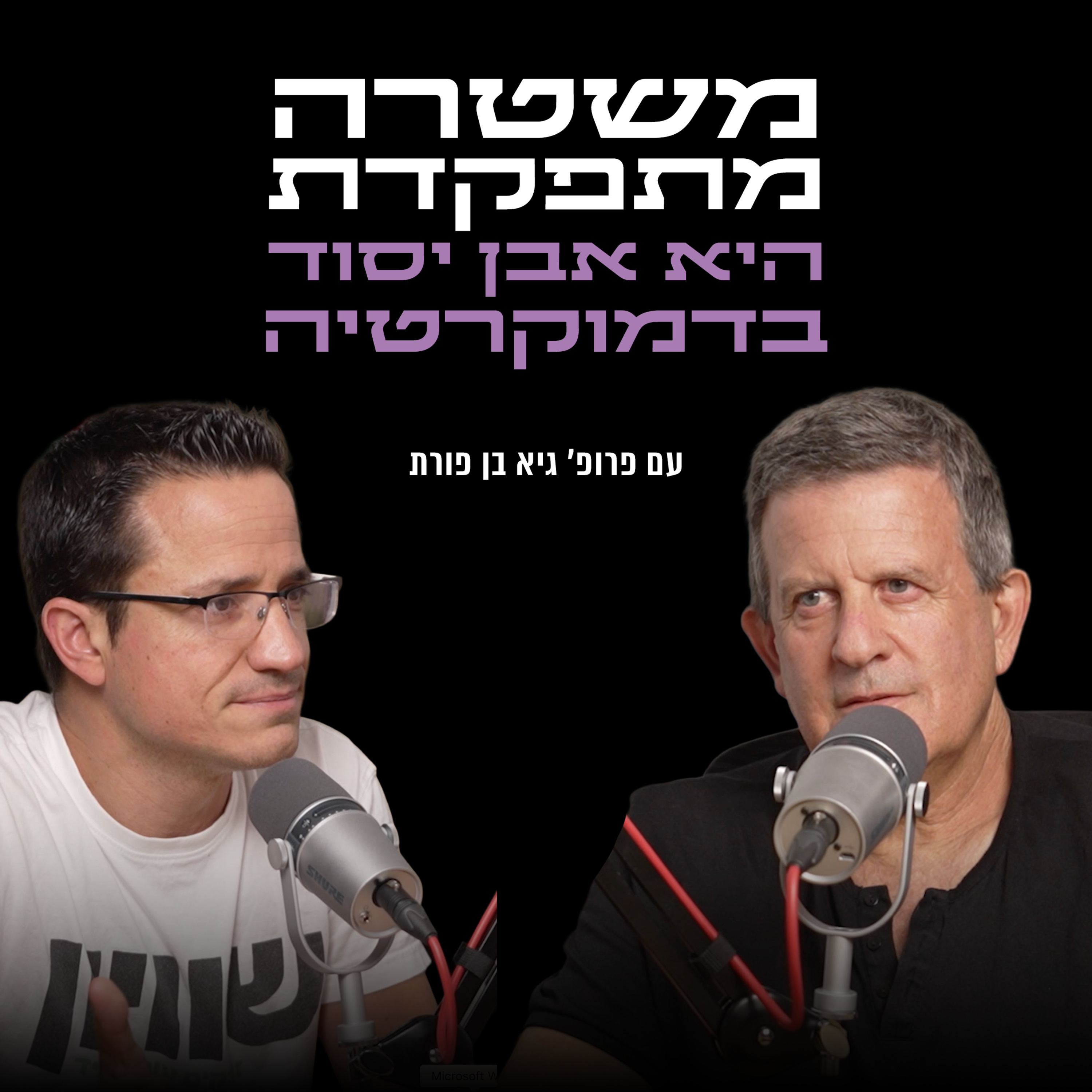 משטרה מתפקדת היא אבן יסוד בדמוקרטיה | עם פרופ׳ גיא בן פורת episode artwork