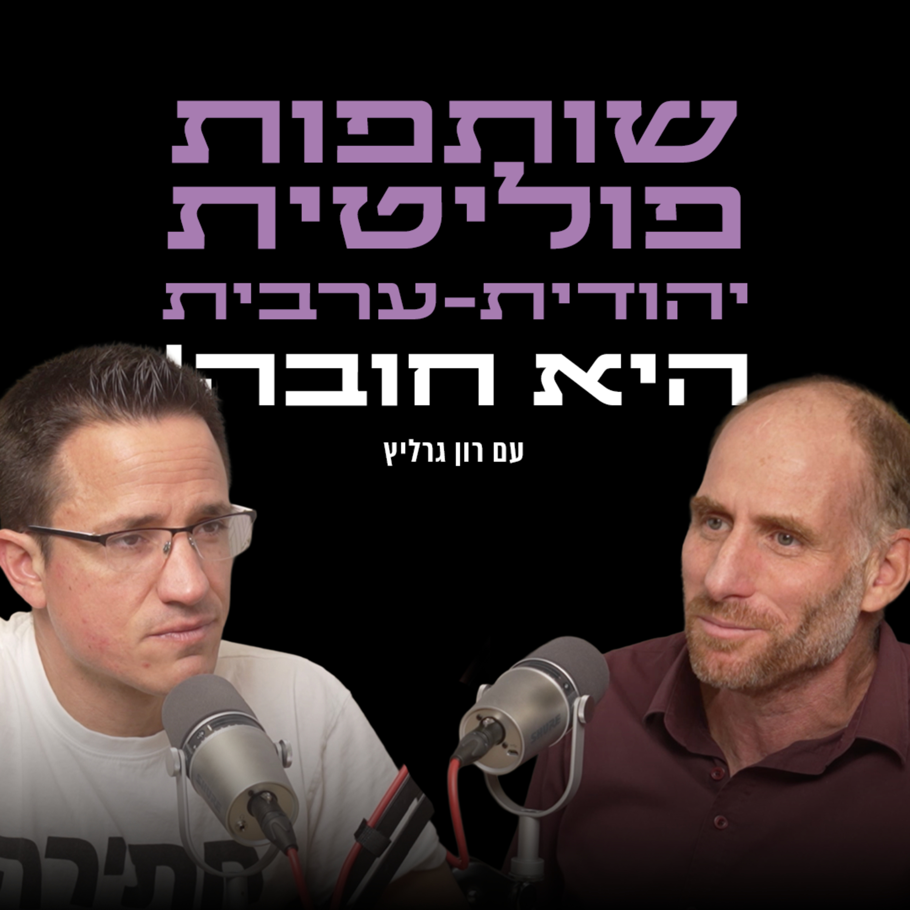  שותפות פוליטית יהודית-ערבית היא חובה! | עם רון גרליץ episode artwork