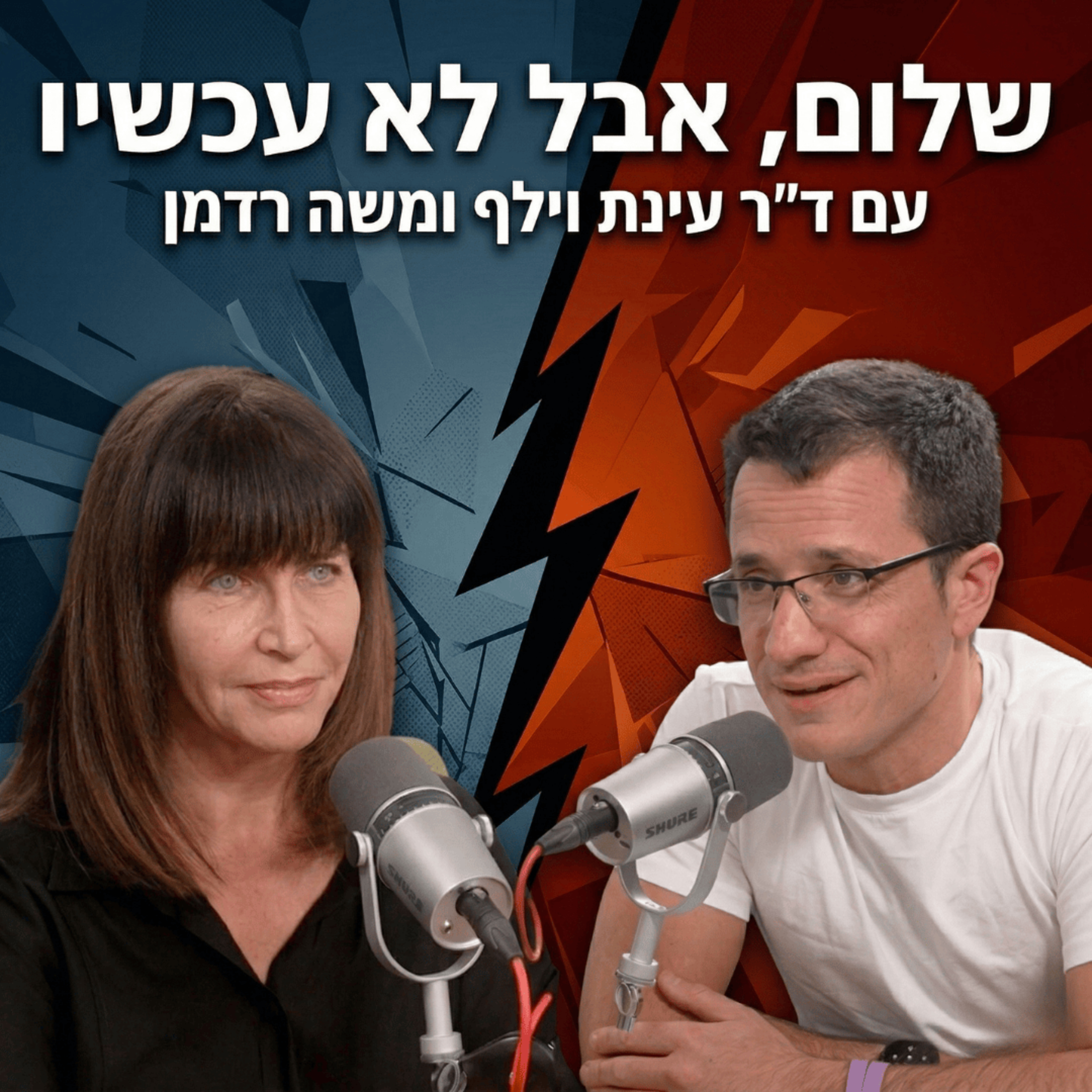 שלום, אבל לא עכשיו | עם ד״ר עינת וילף  episode artwork