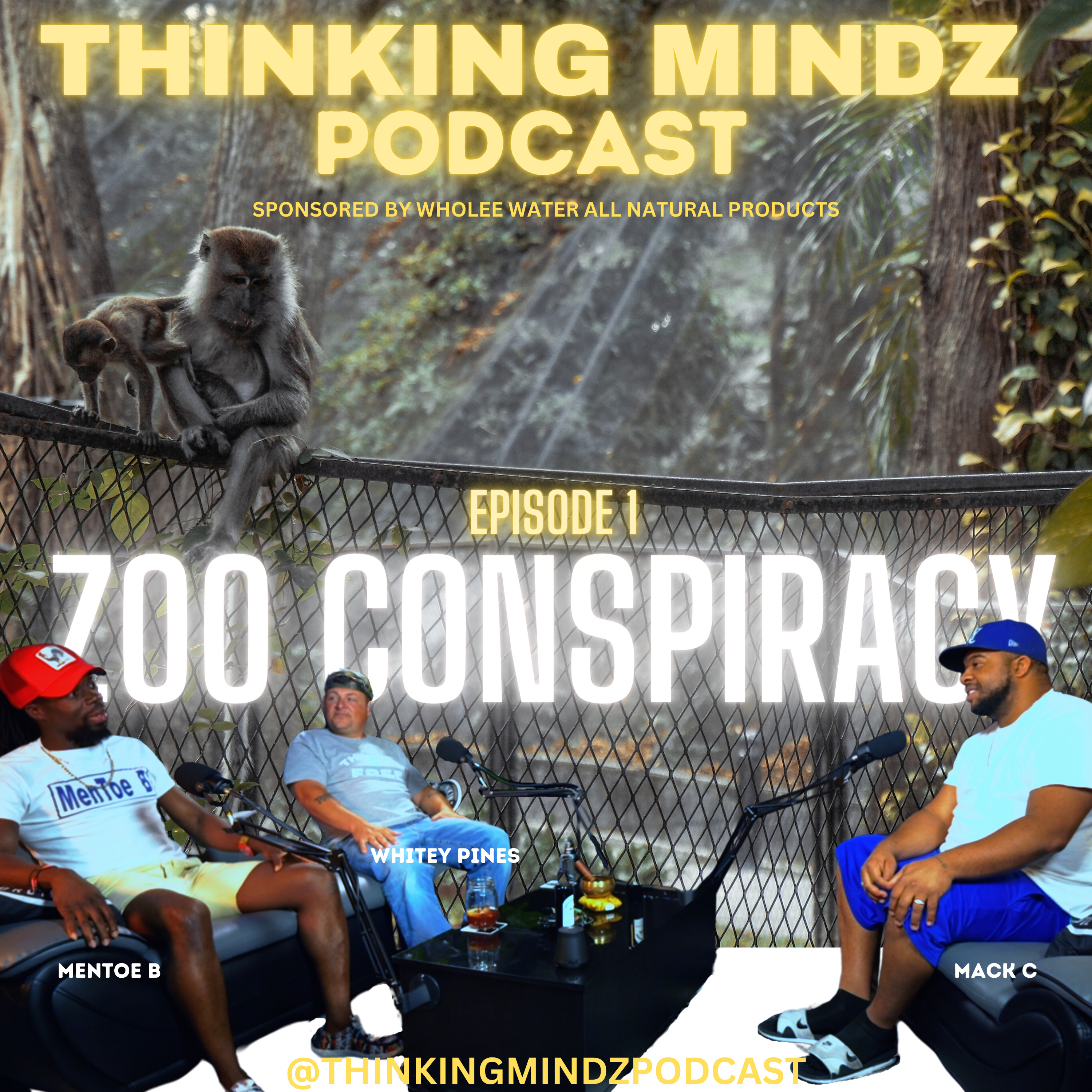 Thinking Mindz Podcast