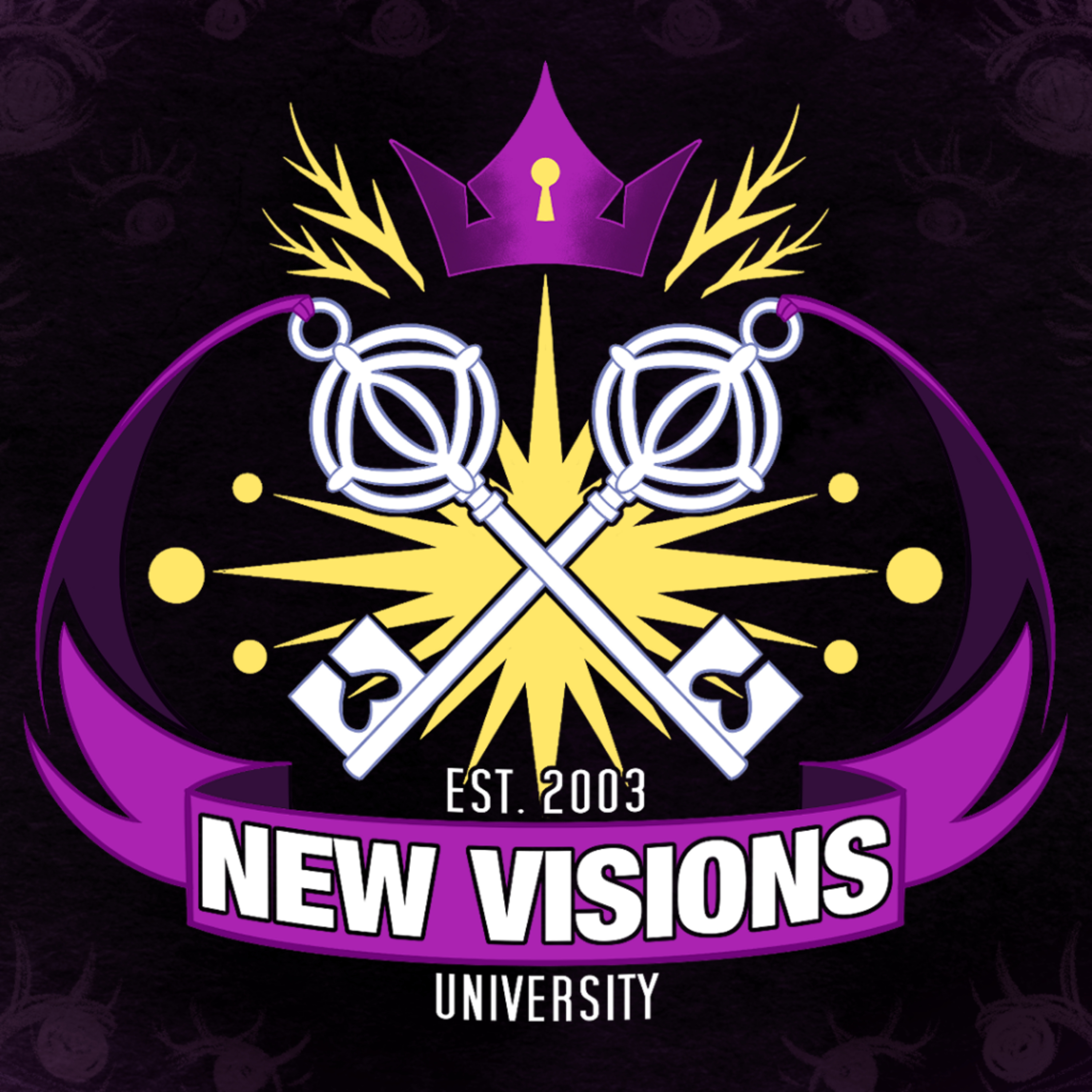 New Visions University