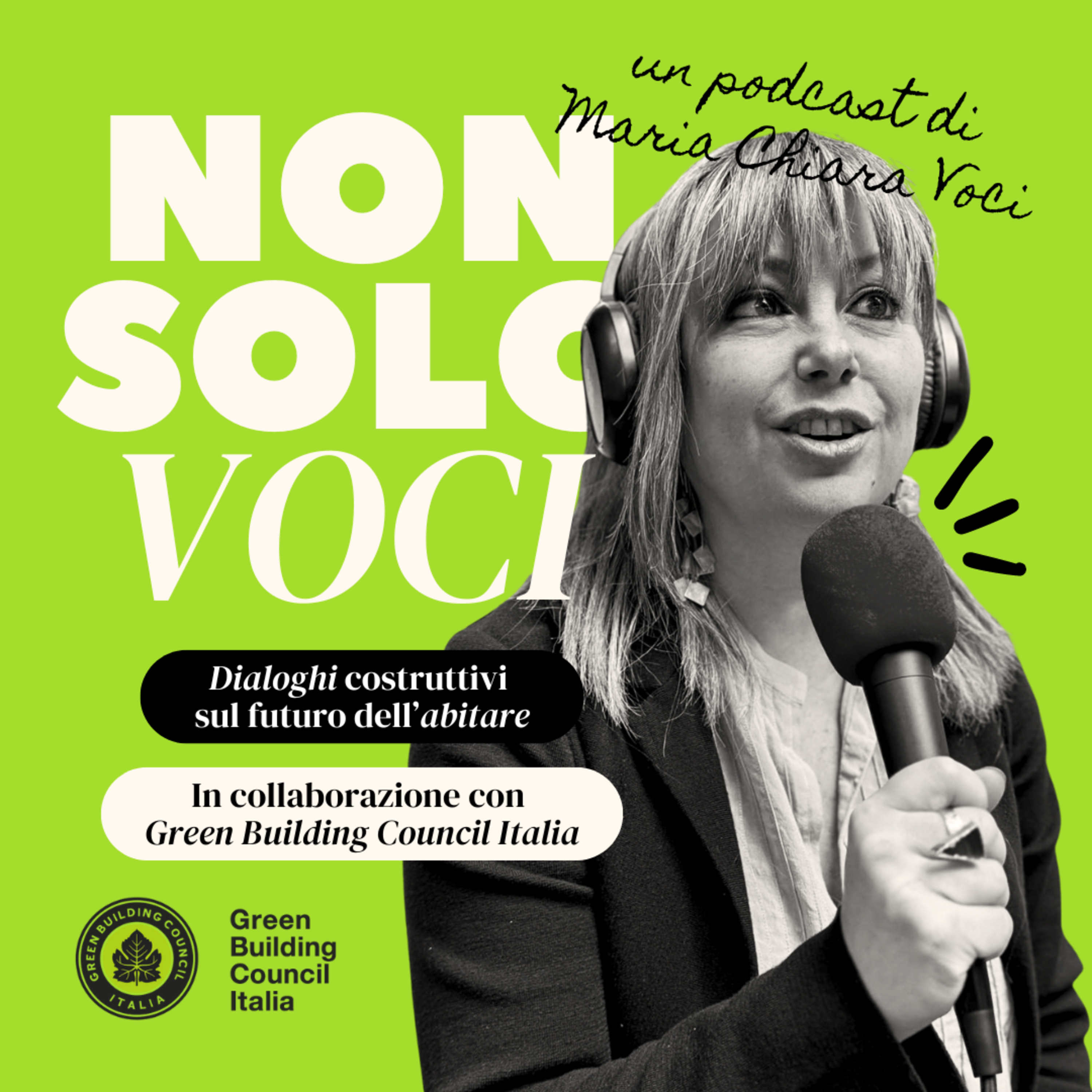 Non solo Voci