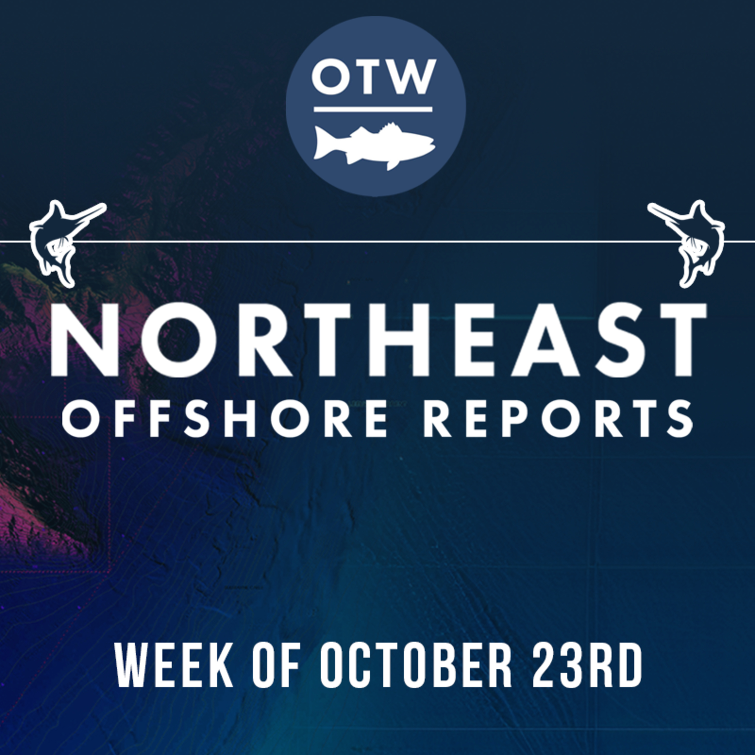 Northeast Offshore Fishing Report
