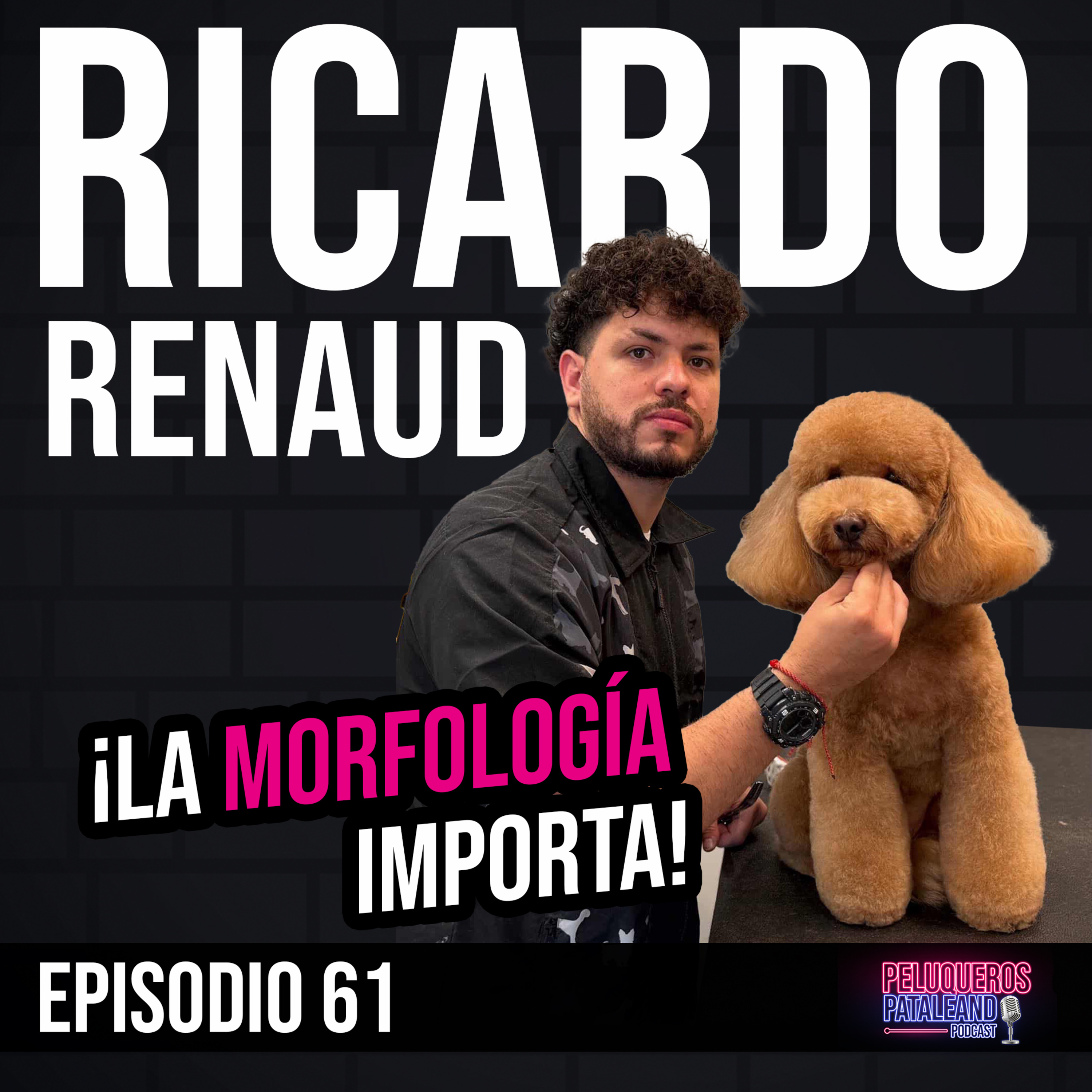 Peluqueros Pataleando Podcast