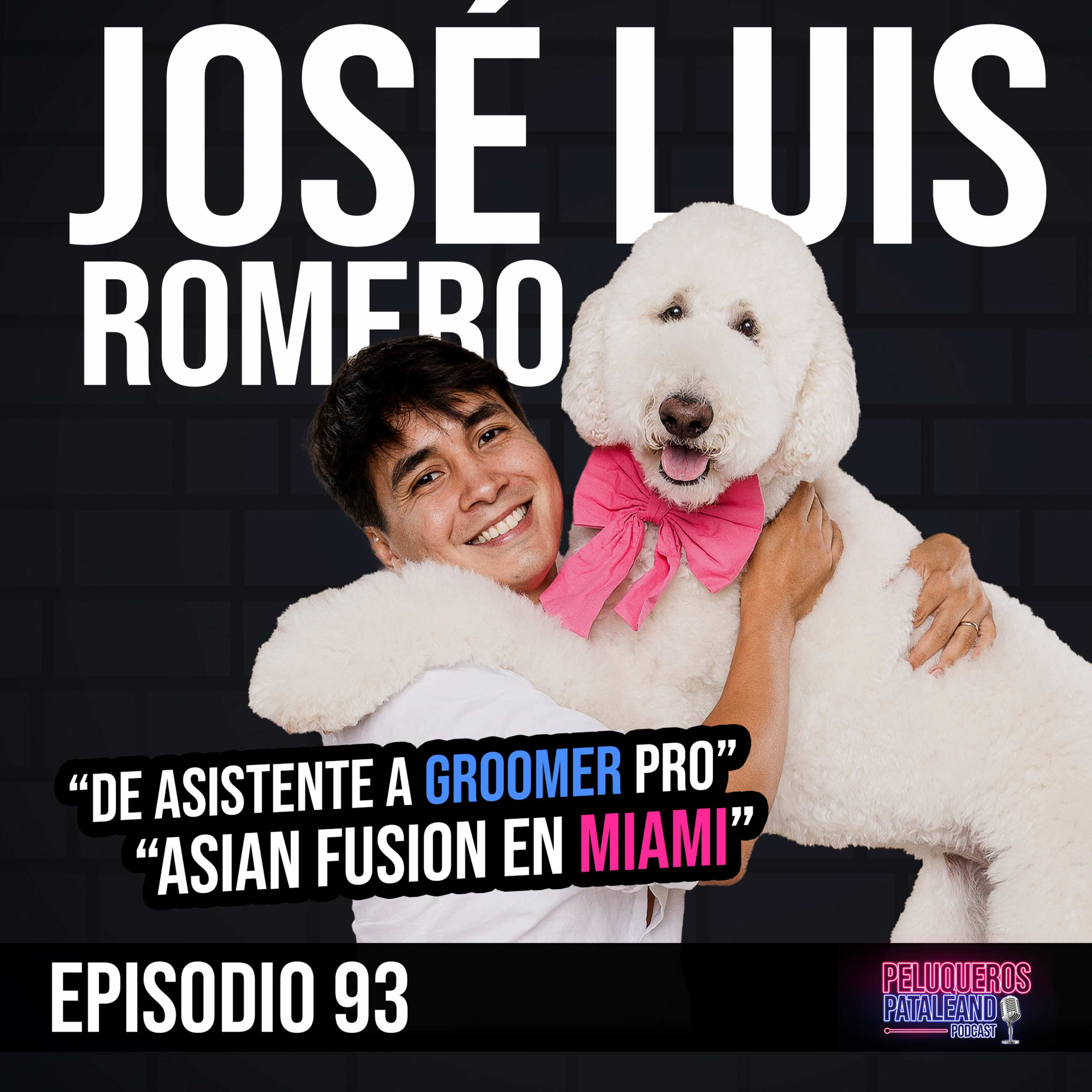José Luis Romero: De Asistente a Groomer Profesional: Cómo Creó su Grooming Móvil en Miami - Ep #93  episode artwork