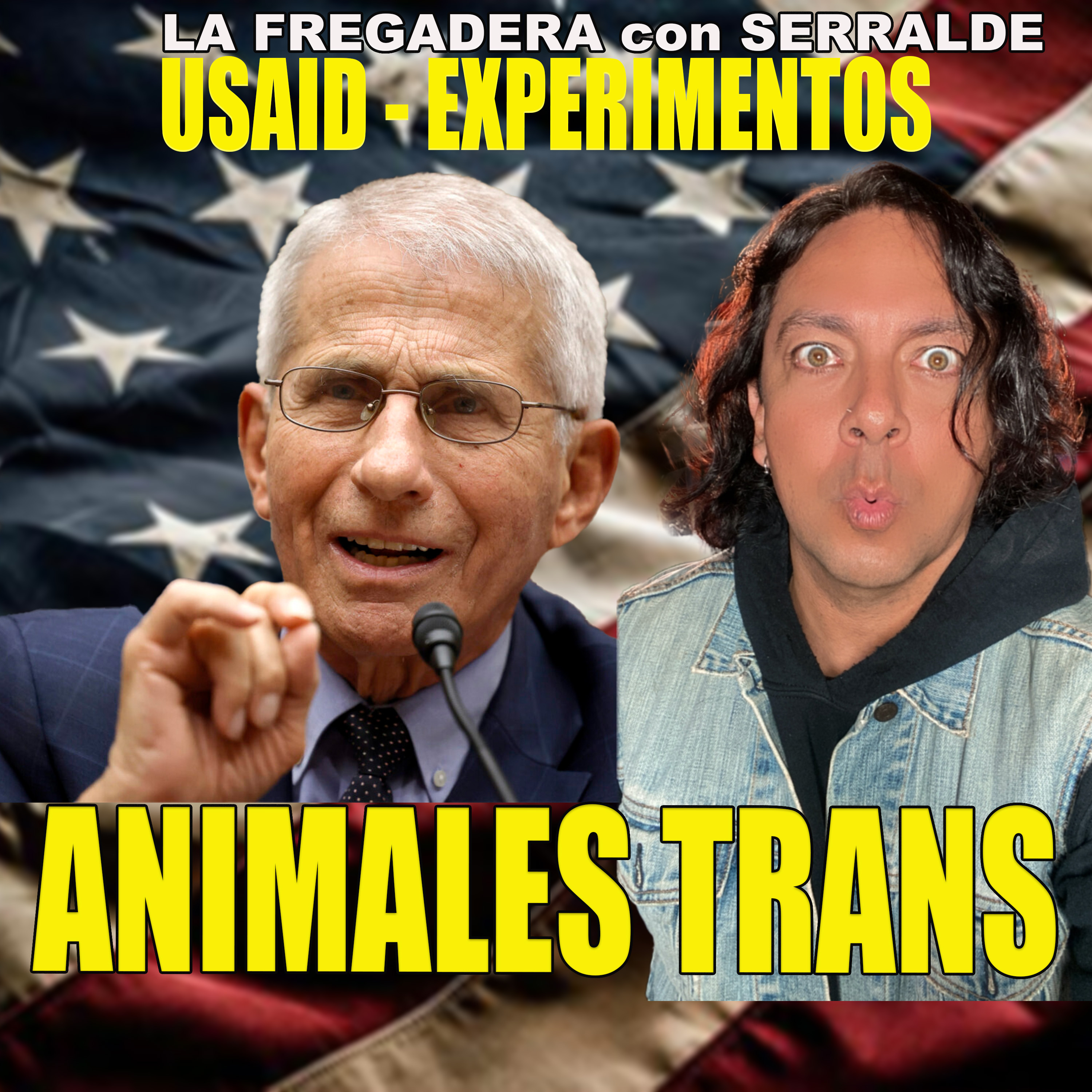 Portada de LA FREGADERA con SERRALDE