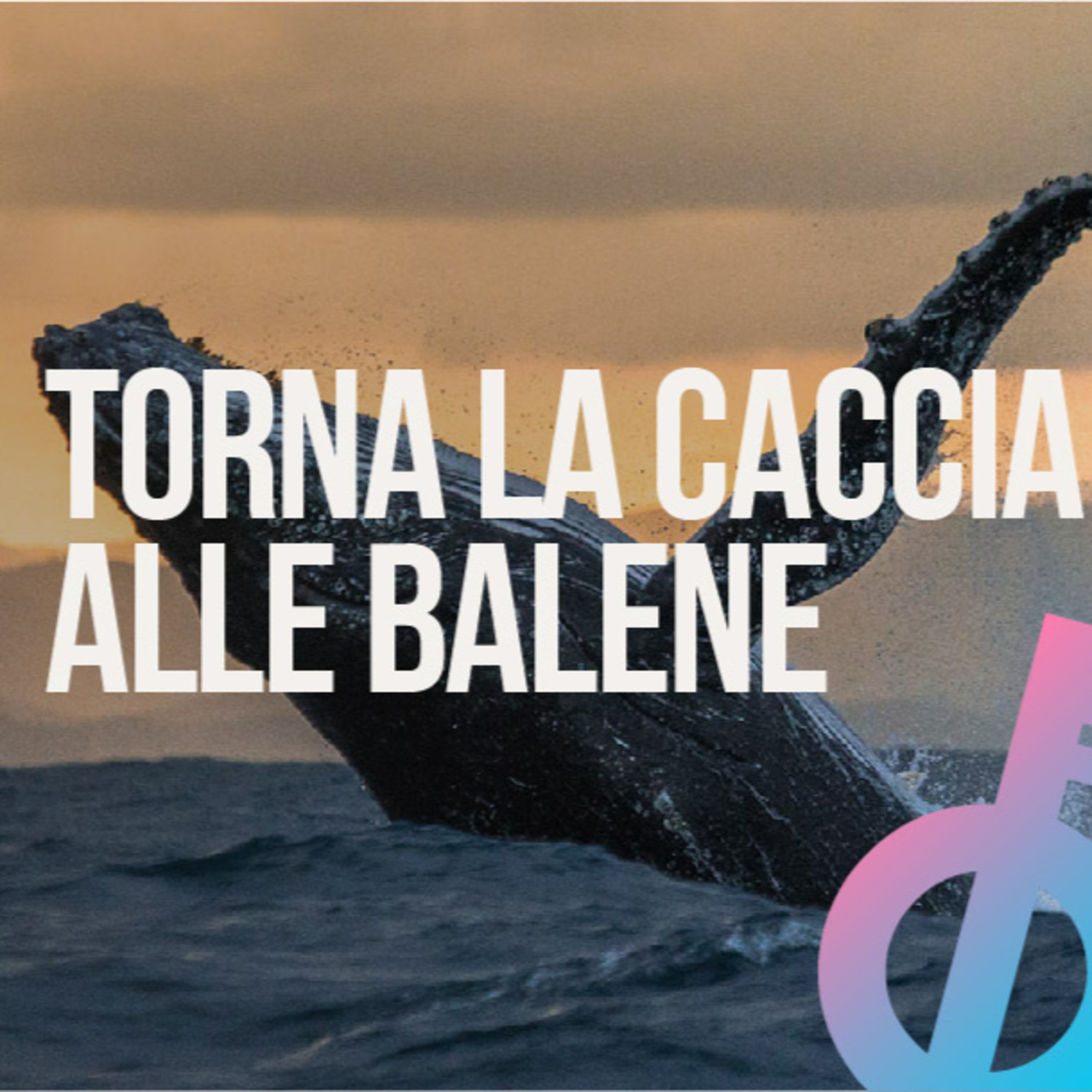 Brutte abitudini dal Nord episode artwork