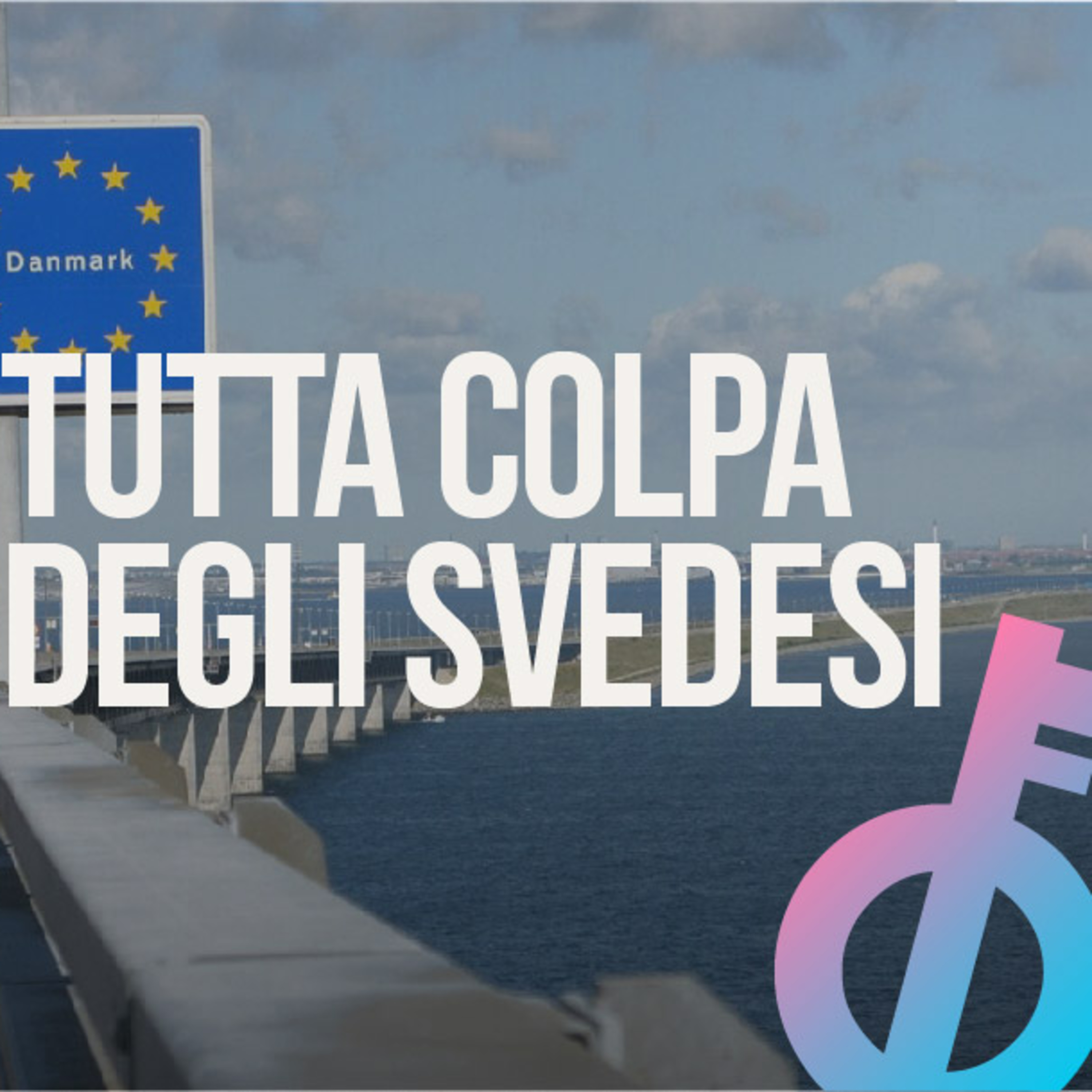Alla fine è sempre colpa degli svedesi episode artwork