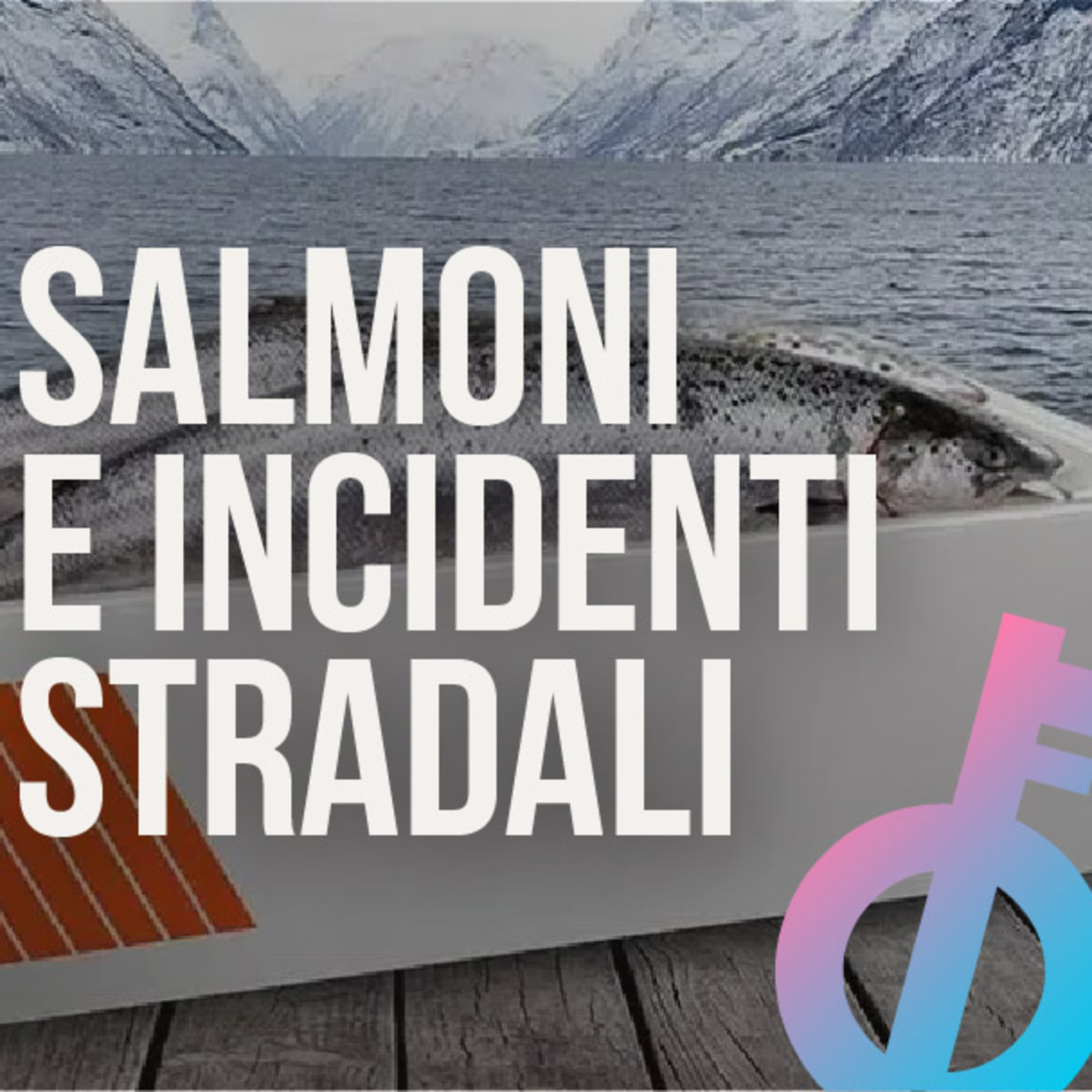 I salmoni stanno causando incidenti stradali in Norvegia episode artwork