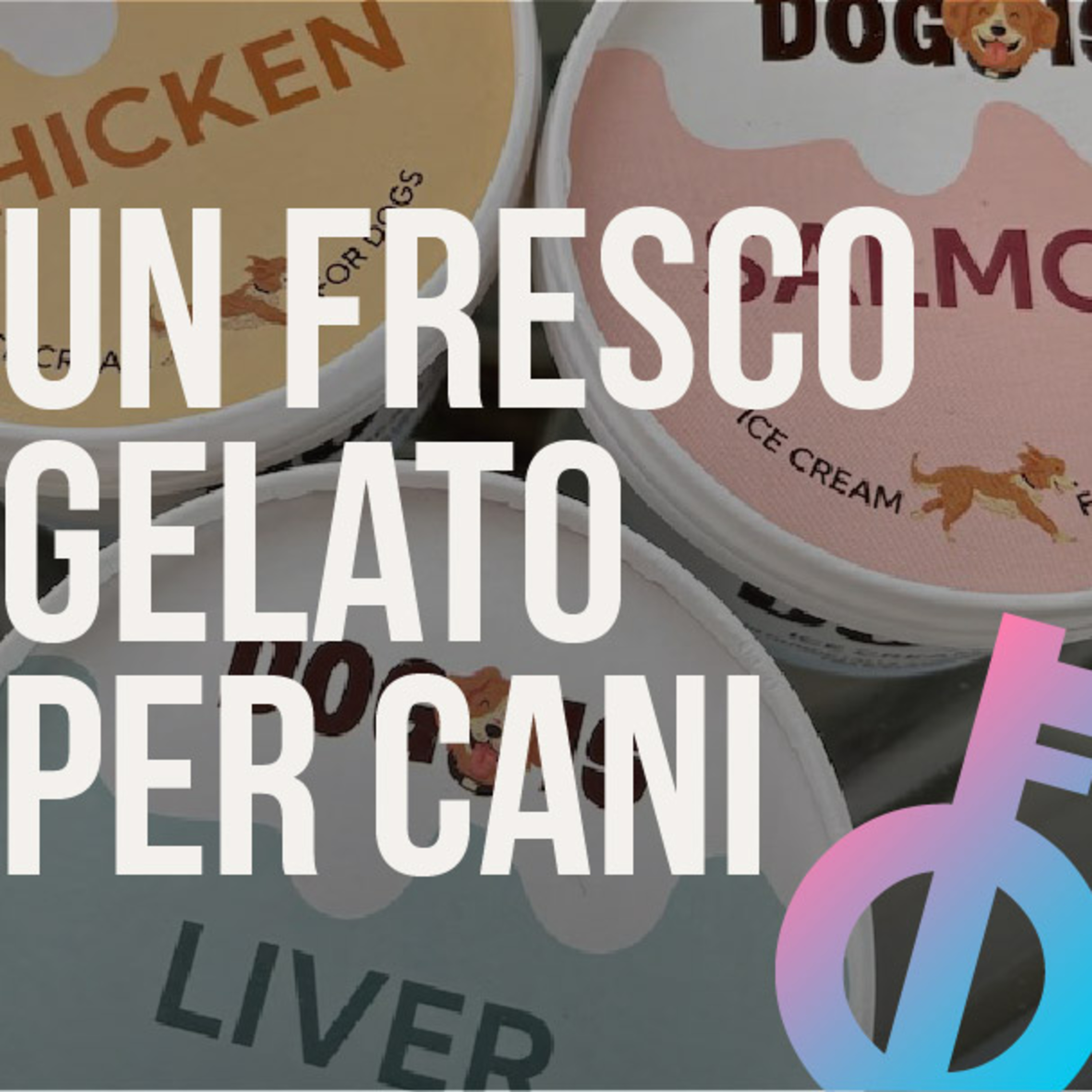 Il Gelato per cani spopola in Danimarca episode artwork