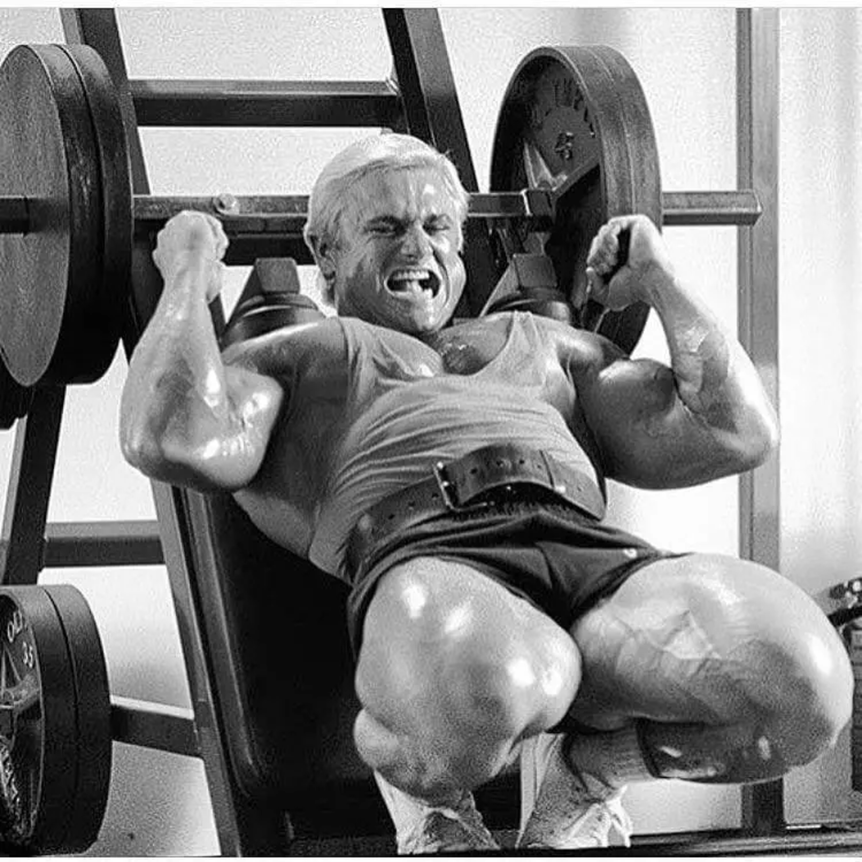 The Bodybuilding Archive